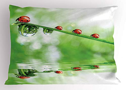 Red Green