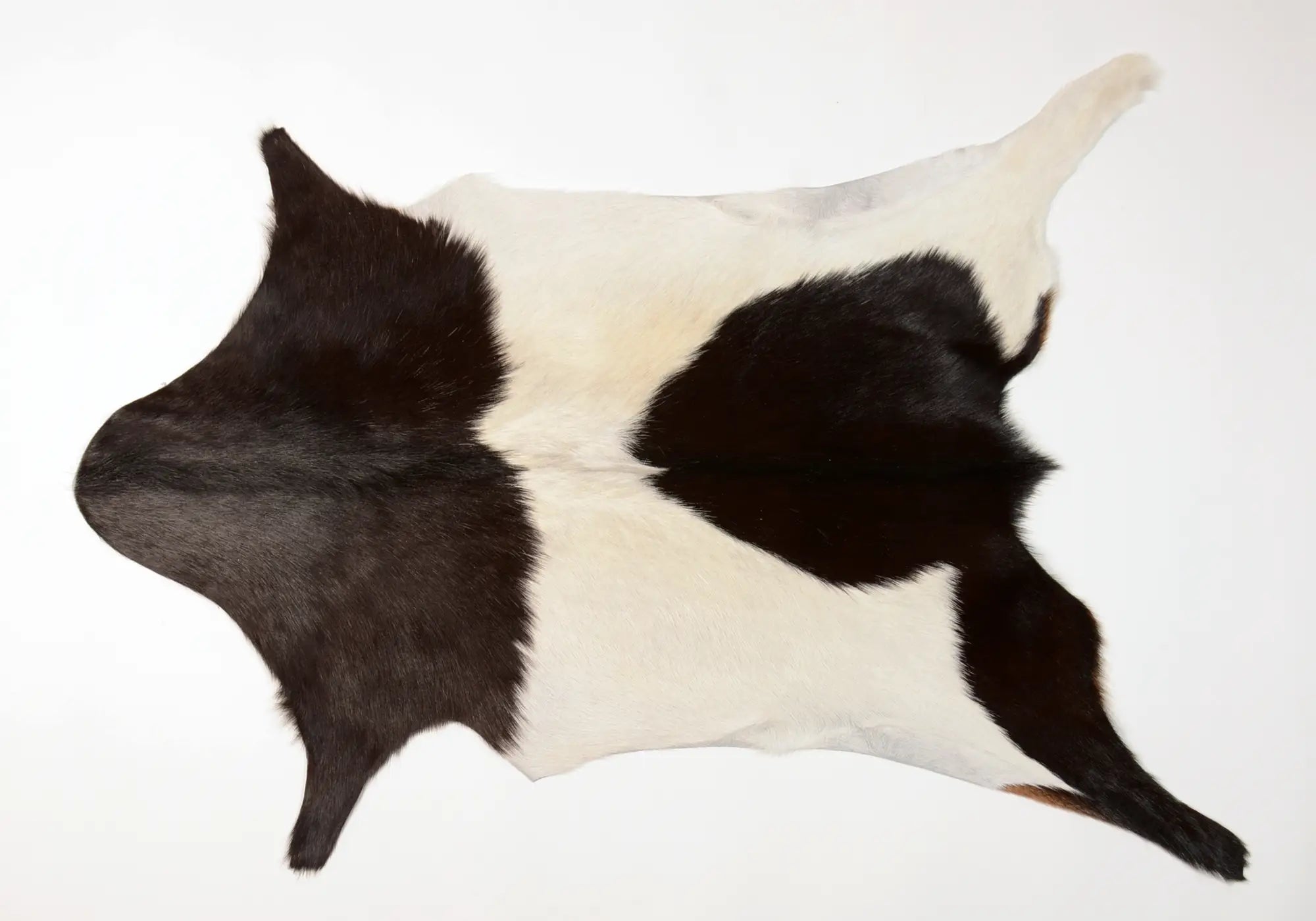 Premium Natural Goat Skin Leather - Warm Black & White Color - Perfect for Winter Jackets, Gloves & Home Decor Accessories