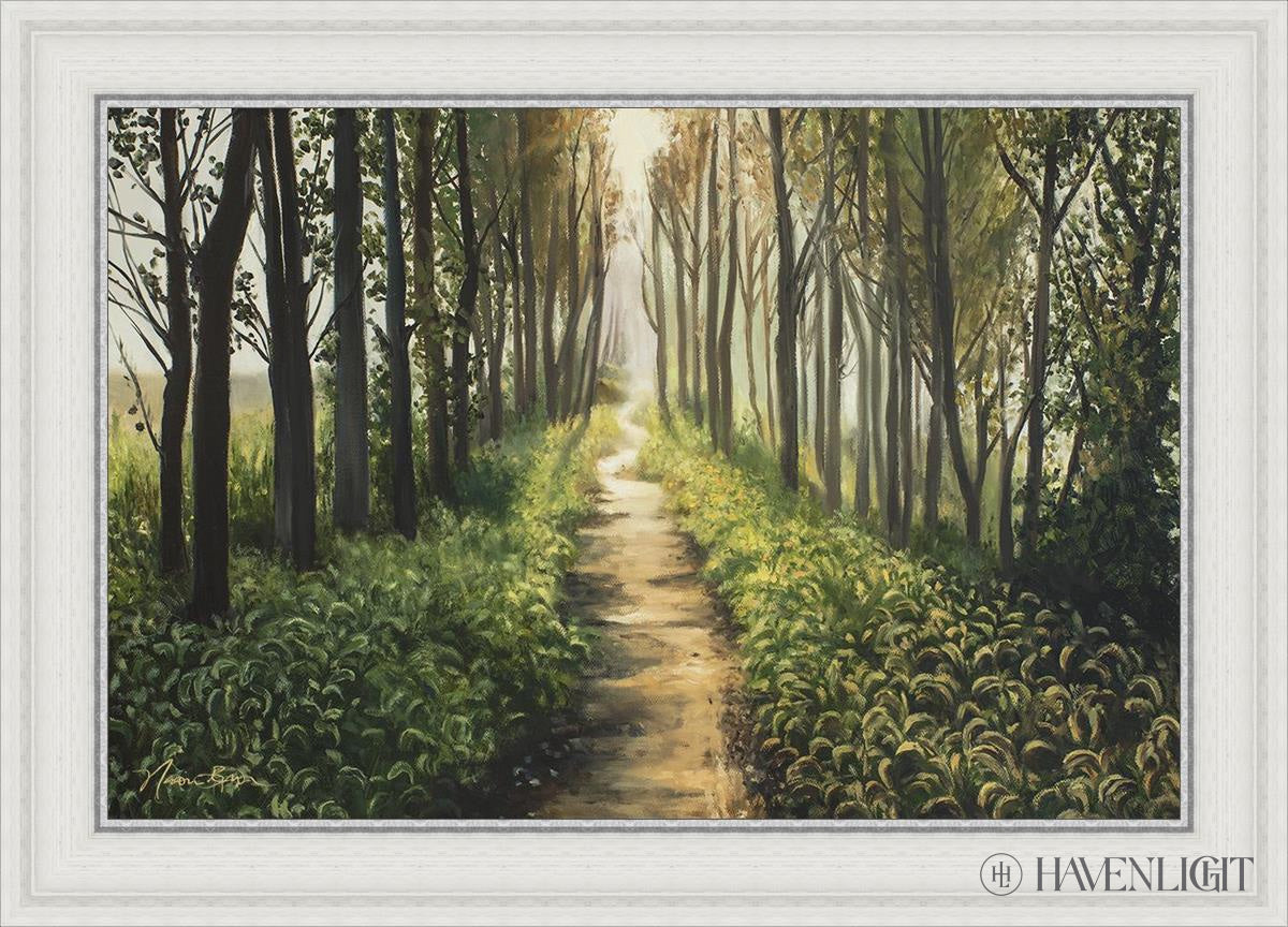 Forest Walkway - Beautiful Wooden Pathway for Gardens, Parks & Trails | Perfect for Outdoor Decor & Nature Walks
