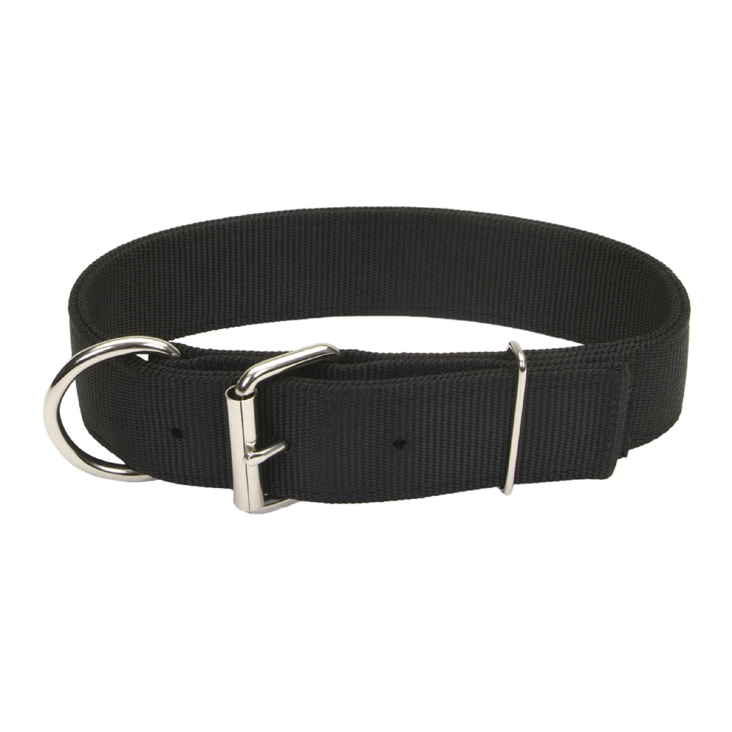 **Coastal Pet Macho Dog Collar - Heavy-Duty Double-Ply Nylon with Roller Buckle - Comfortable & Durable Pet Collar for Large Dogs - Black, 20