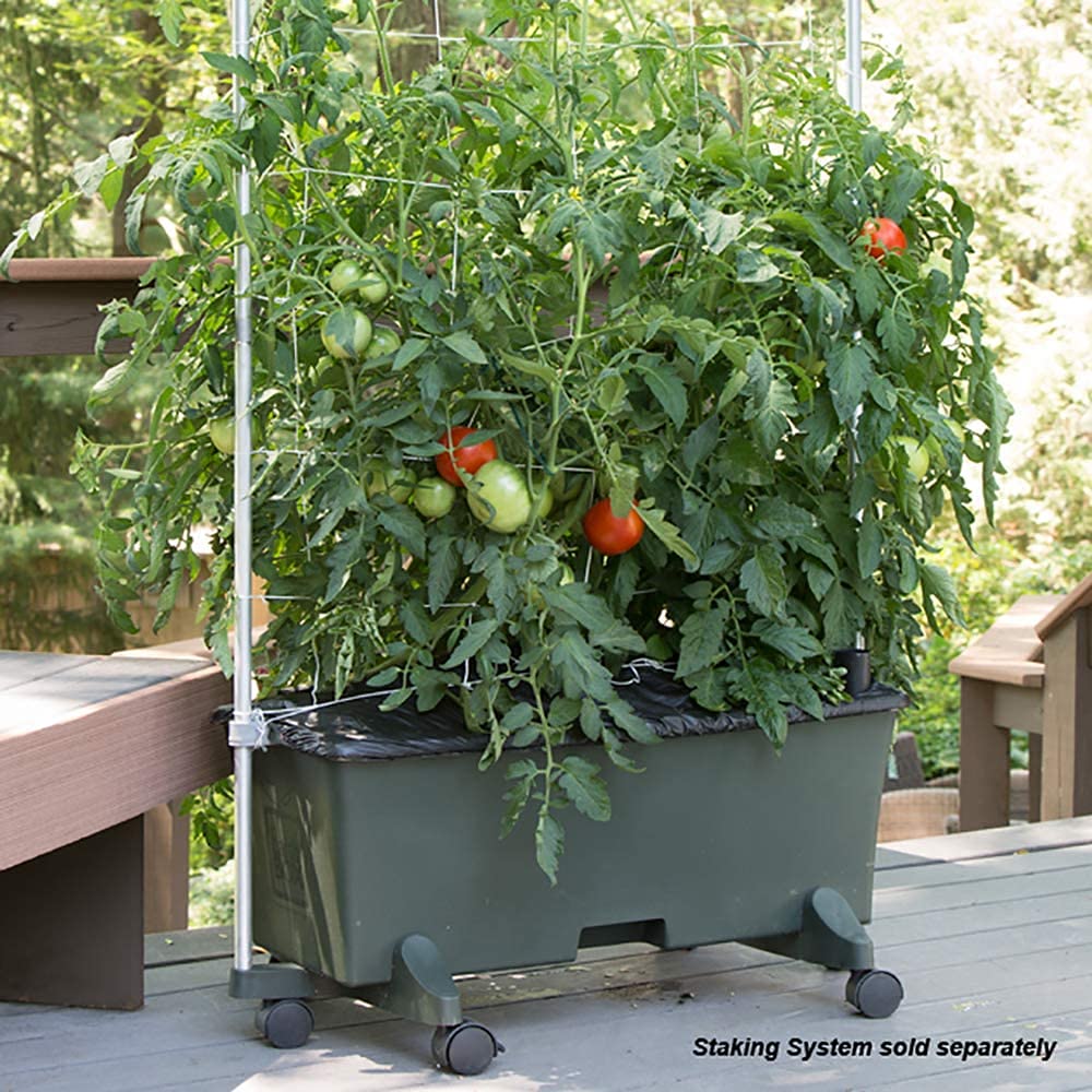 Earthbox Garden Kit - Green (Pack of 2, Standard Size) | Self-Watering Planter Box for Vegetables, Herbs & Flowers | Perfect for Patio, Balcony & Indoor Gardening