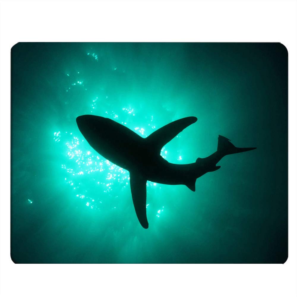 Shark Gaming Mouse Pad - Non-Slip Rubber Base, 9.5