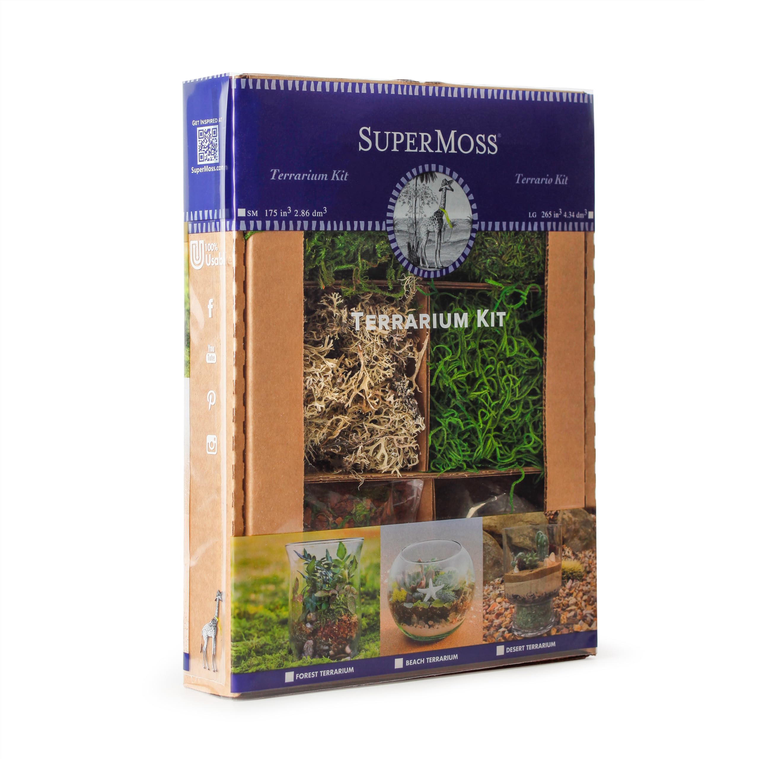 SuperMoss (90423) Premium Terrarium Kit - 4 oz Forest Moss for DIY Terrariums, Fairy Gardens & Indoor Plant Decor - Natural Decorative Moss for Home, Office & Creative Projects