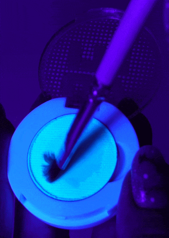 Glisten Cosmetics UV IT! Clear UV Eyeliner - Waterproof & Long-Lasting for Parties, Concerts & Rave Makeup