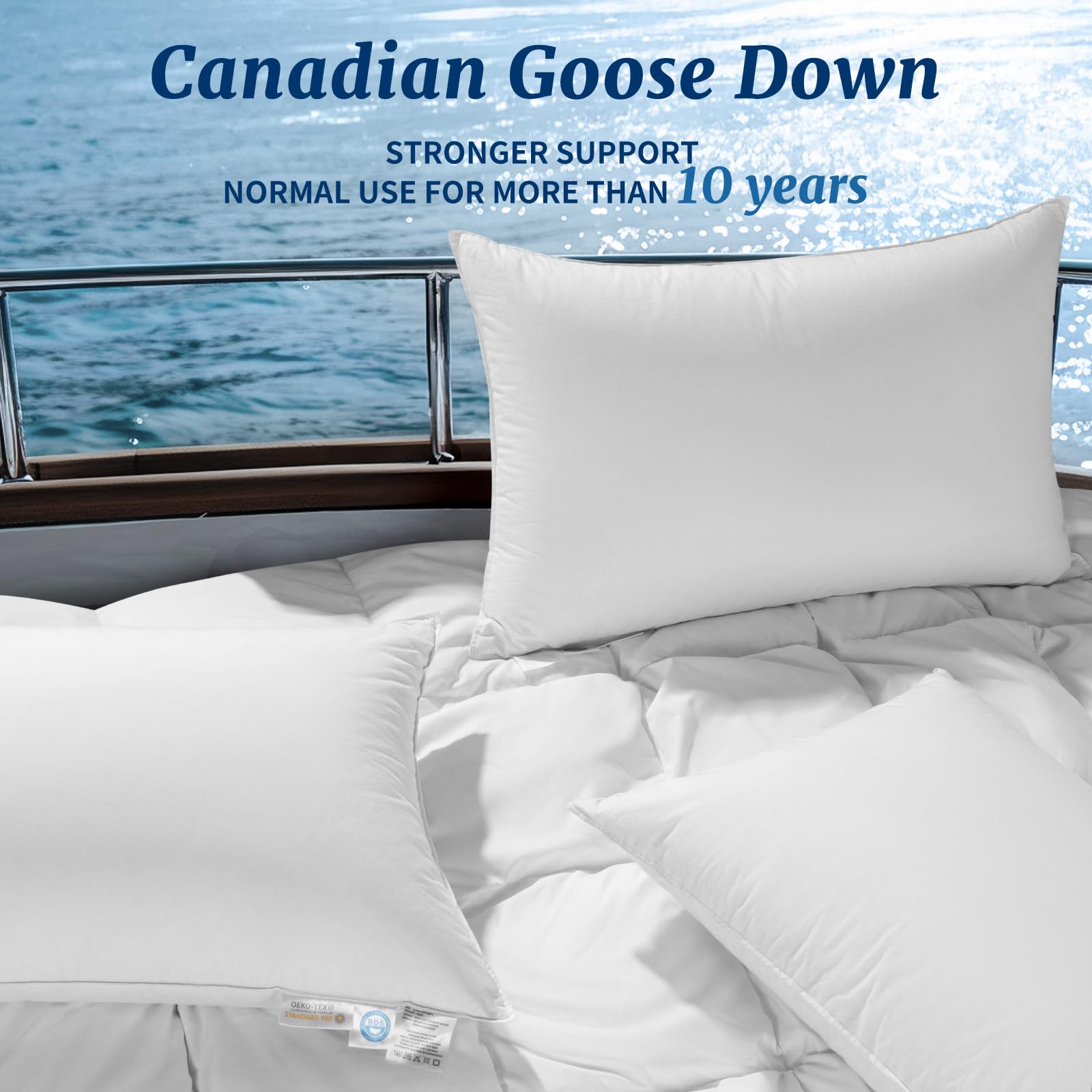 Premium Canadian Luxury Goose Down Pillow - Queen Size, 750 Fill Power, 100% Cotton with Teflon Shell - Ultra Comfort for Back, Stomach & Side Sleepers - Perfect for Hotels, Guest Rooms & Luxury Bedding (White, Standard, Pack of 1)