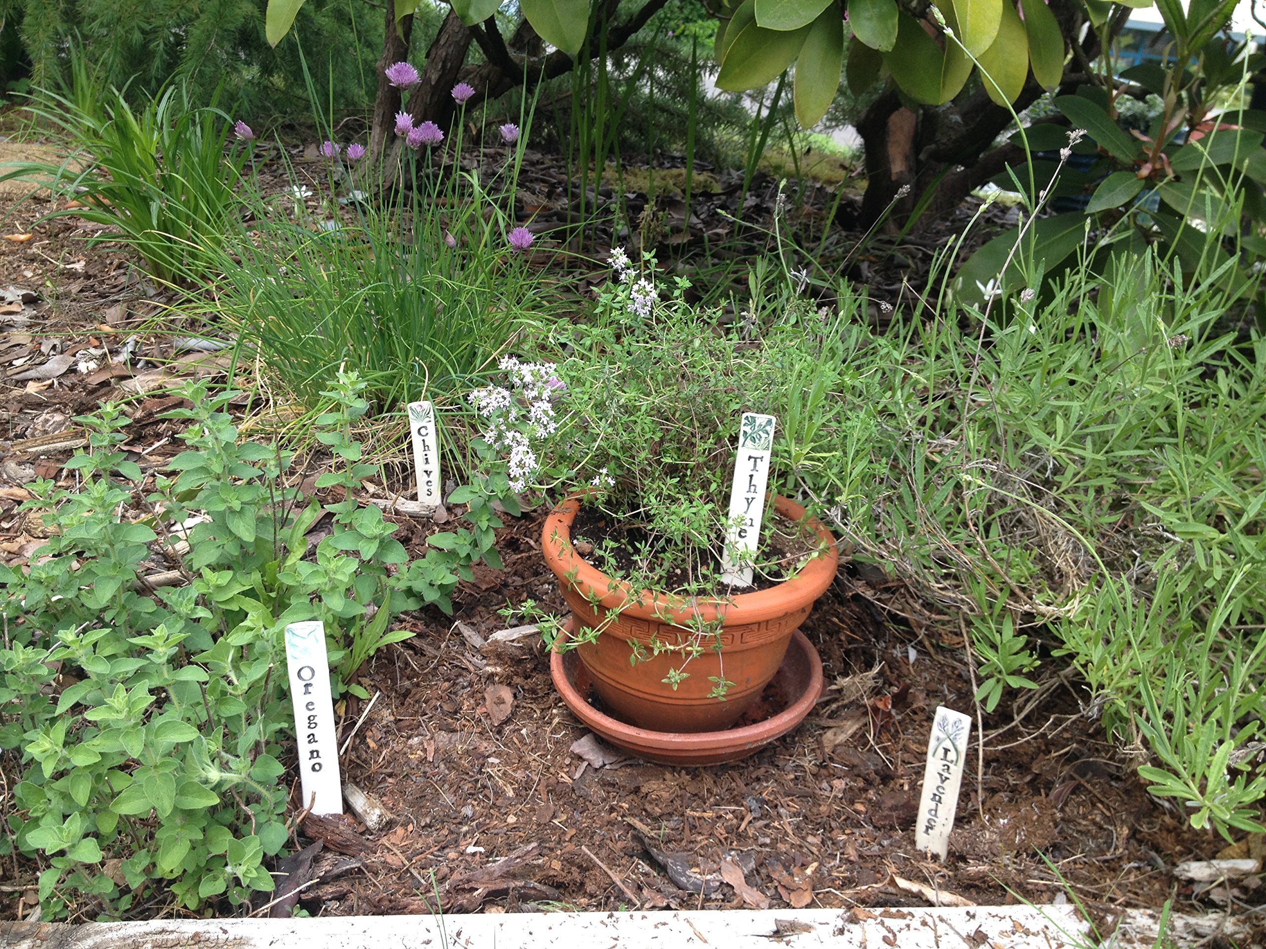 Herb Garden Markers - Set of 3 Ceramic Plant Labels for Indoor & Outdoor Gardening - Perfect for Herb Pots, Vegetable Gardens & DIY Plant Identification