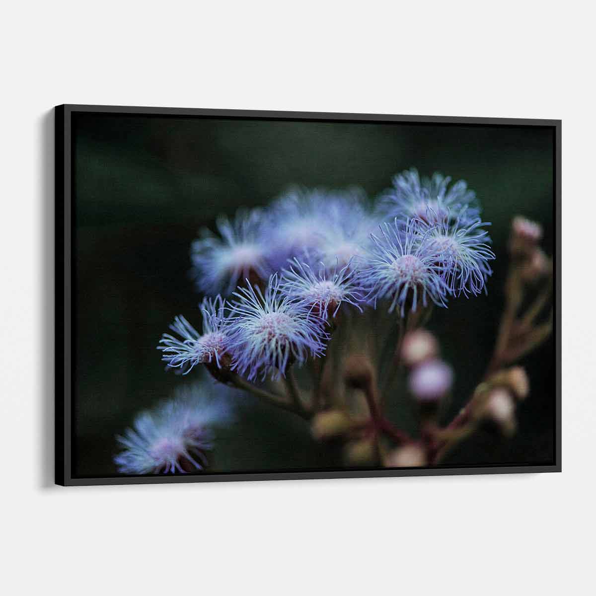 Purple Wildflower Wall Art Canvas Print - Modern Floral Home Decor for Living Room, Bedroom & Office - 14x34 Inches