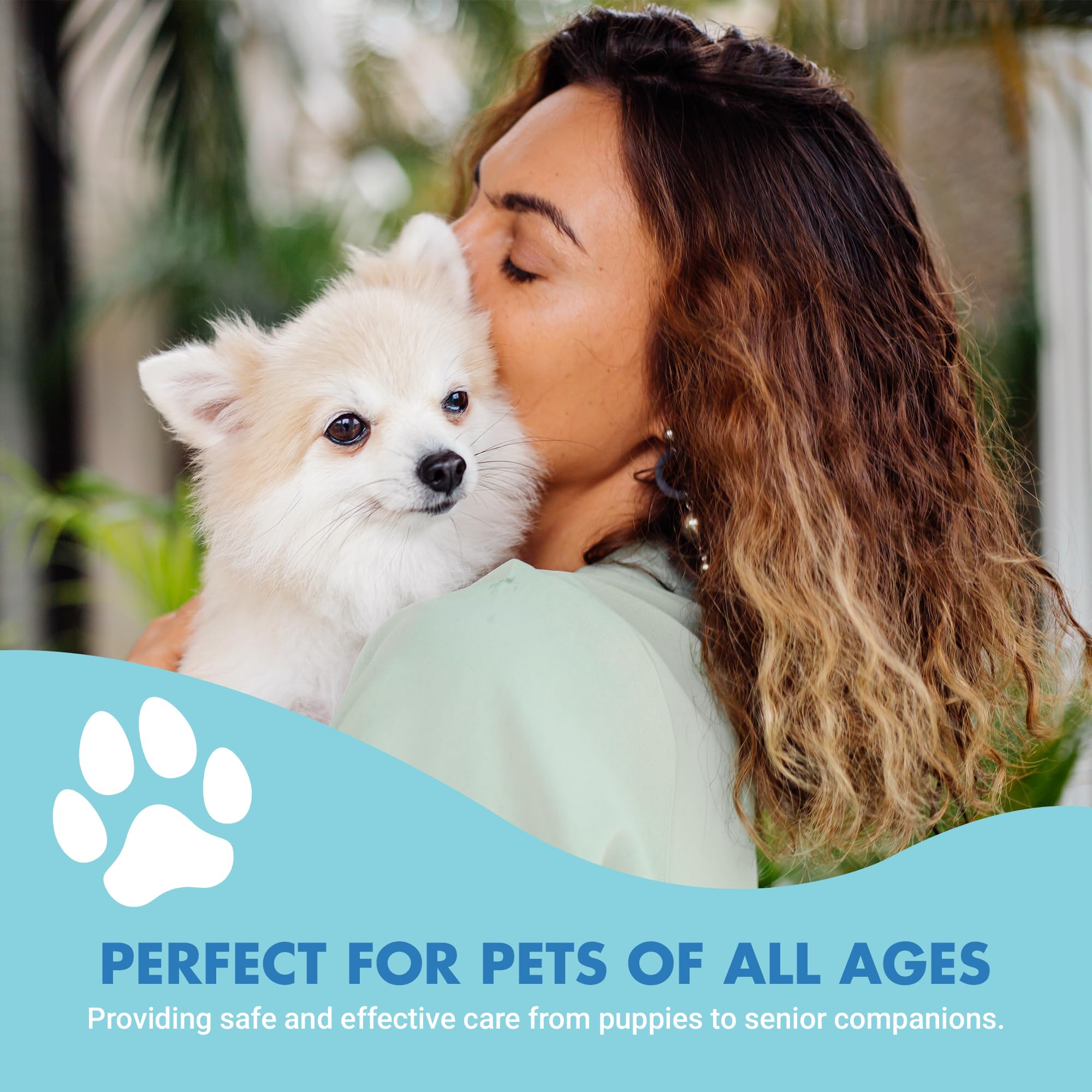 Premium K9 Teeth & Gums Advanced Dental Care Formula - Pot Roast Flavor Dog Toothpaste (8 oz BOGO Trial Pack) for Small & Large Breeds - Freshens Breath & Reduces Plaque for Healthy Canine Oral Hygiene
