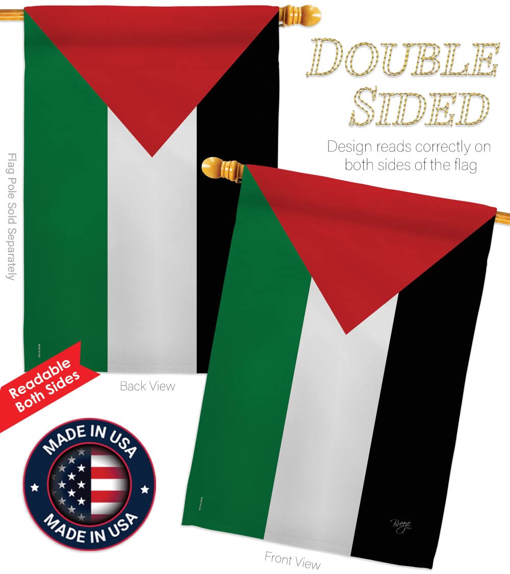 Palestine National Flag 28