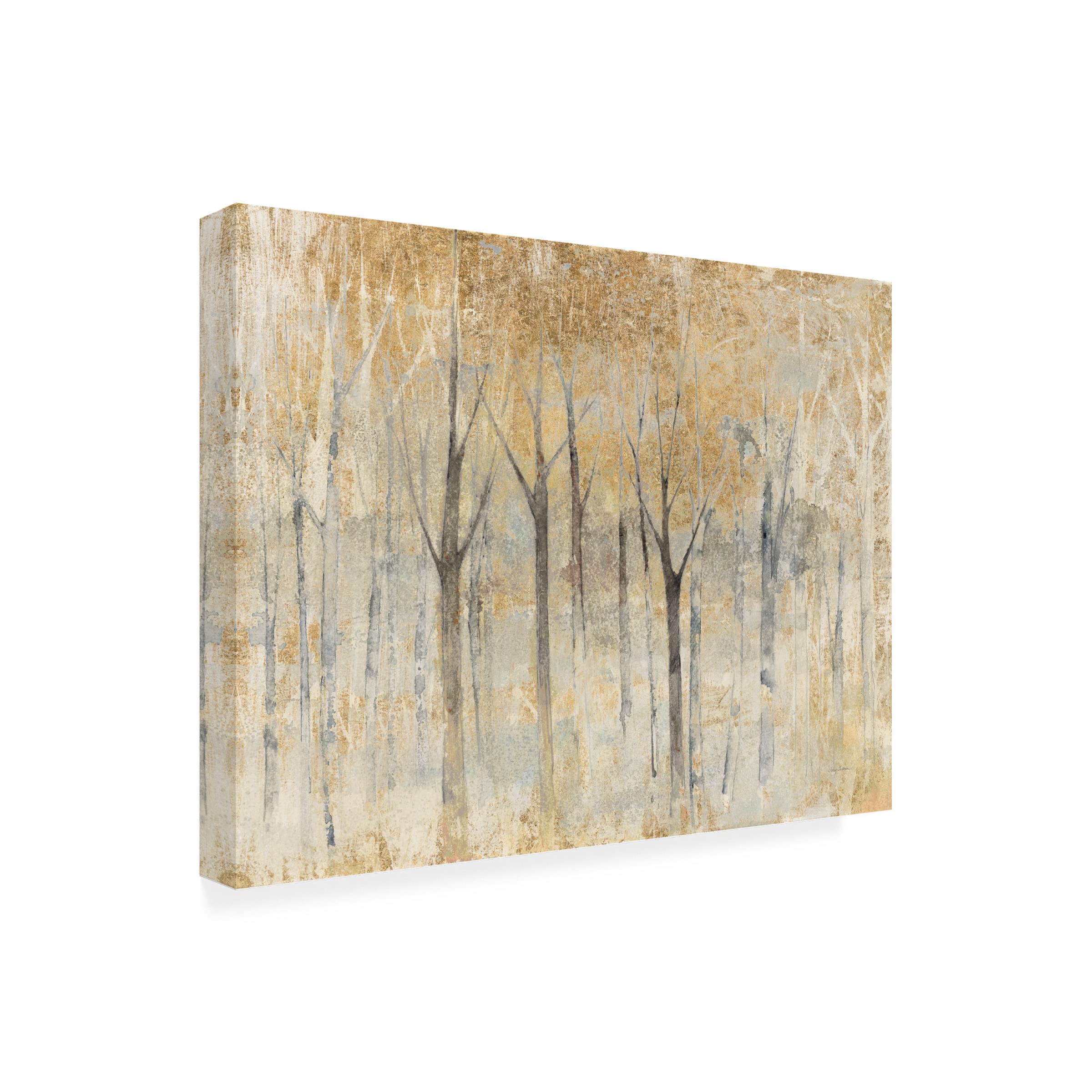 Trademark Fine Art 'Seasons End Gold' Canvas Wall Art by Avery Tillmon - Elegant Home Decor for Living Room, Bedroom & Office