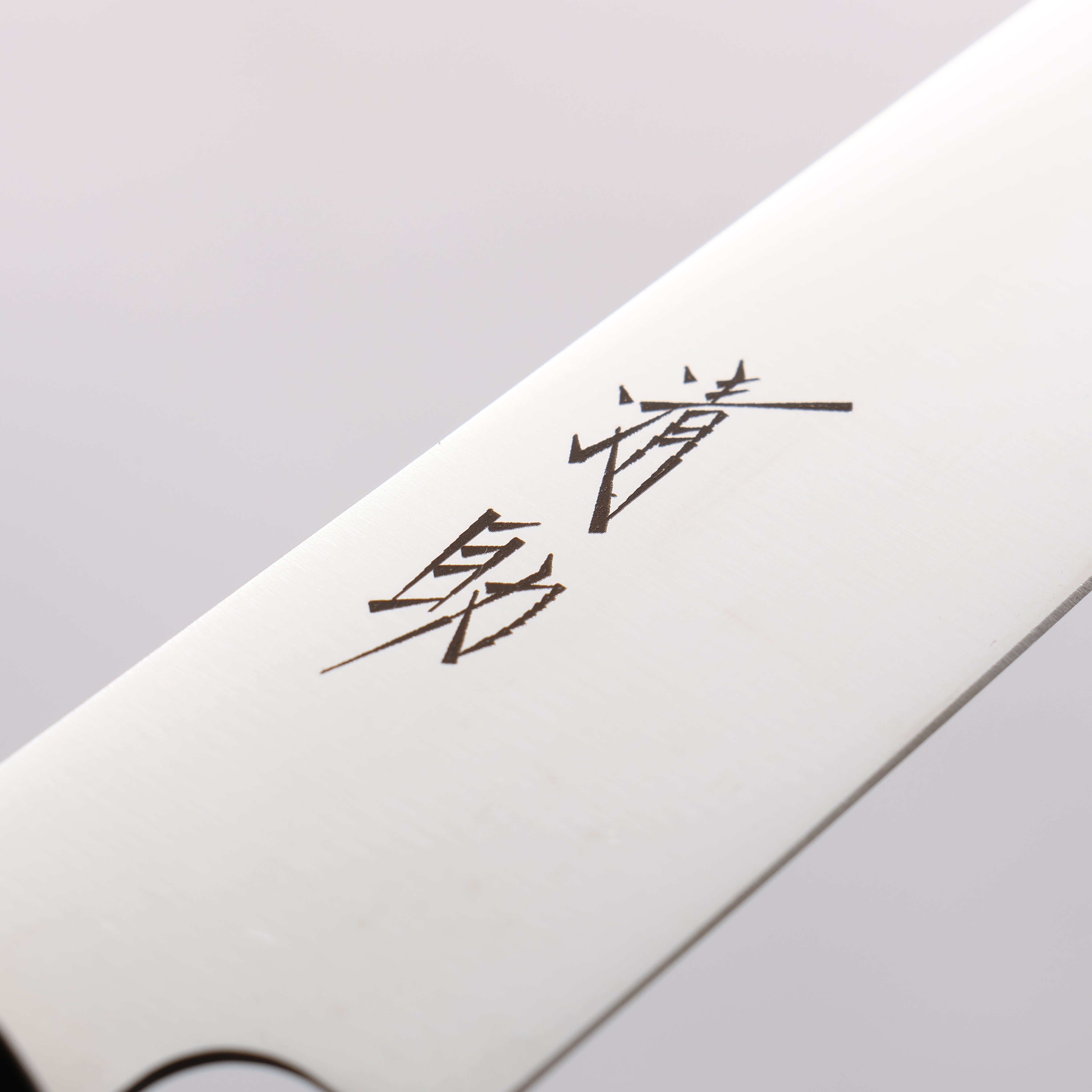 Premium Seisuke 210mm Molybdenum Slicer Knife - Black Pakkawood Handle - Professional Chef's Knife for Sushi, Meat & Vegetable Cutting