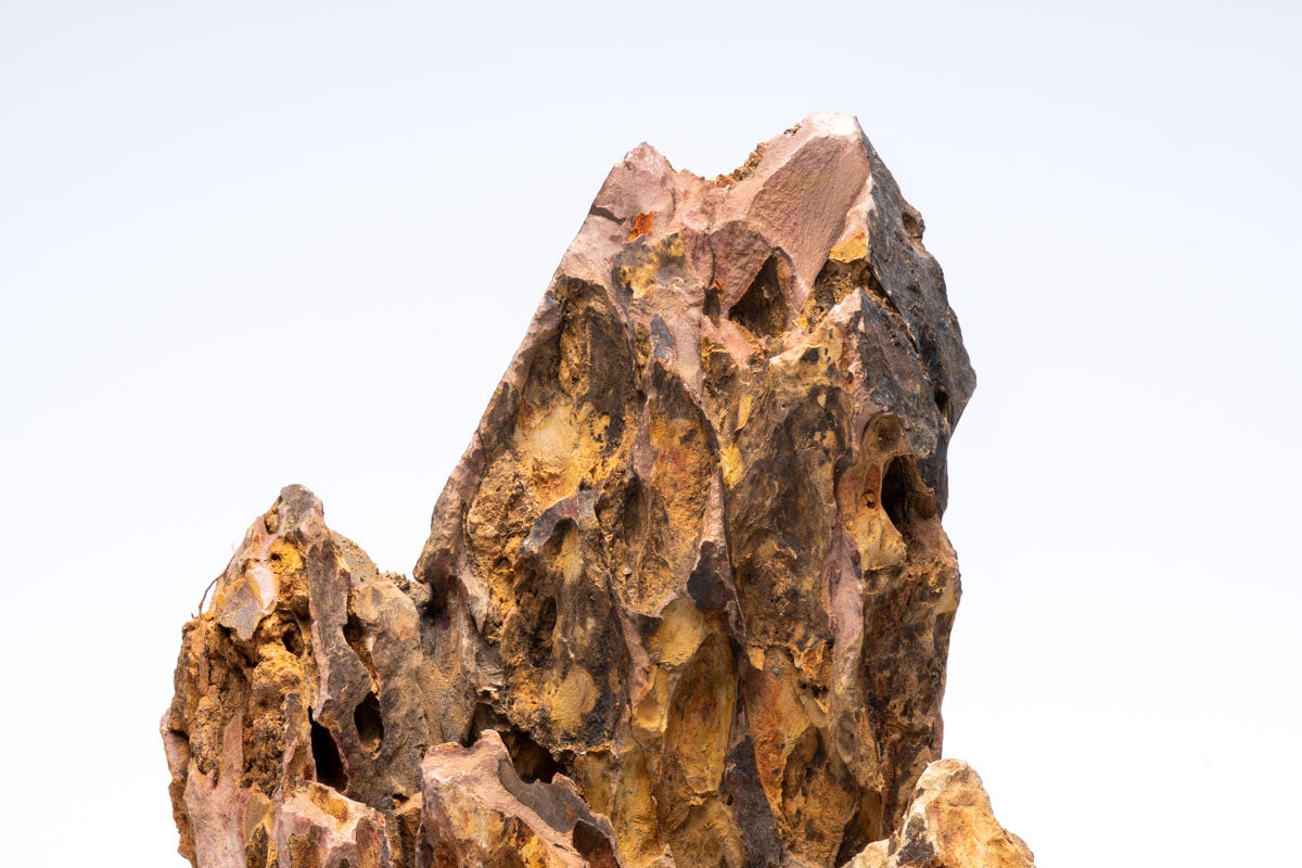 Premium Flat Bottom Dragon Ohko Stone for Aquascaping - Natural Hardscape Rock for Fish Tanks, Aquariums & Zen Gardens