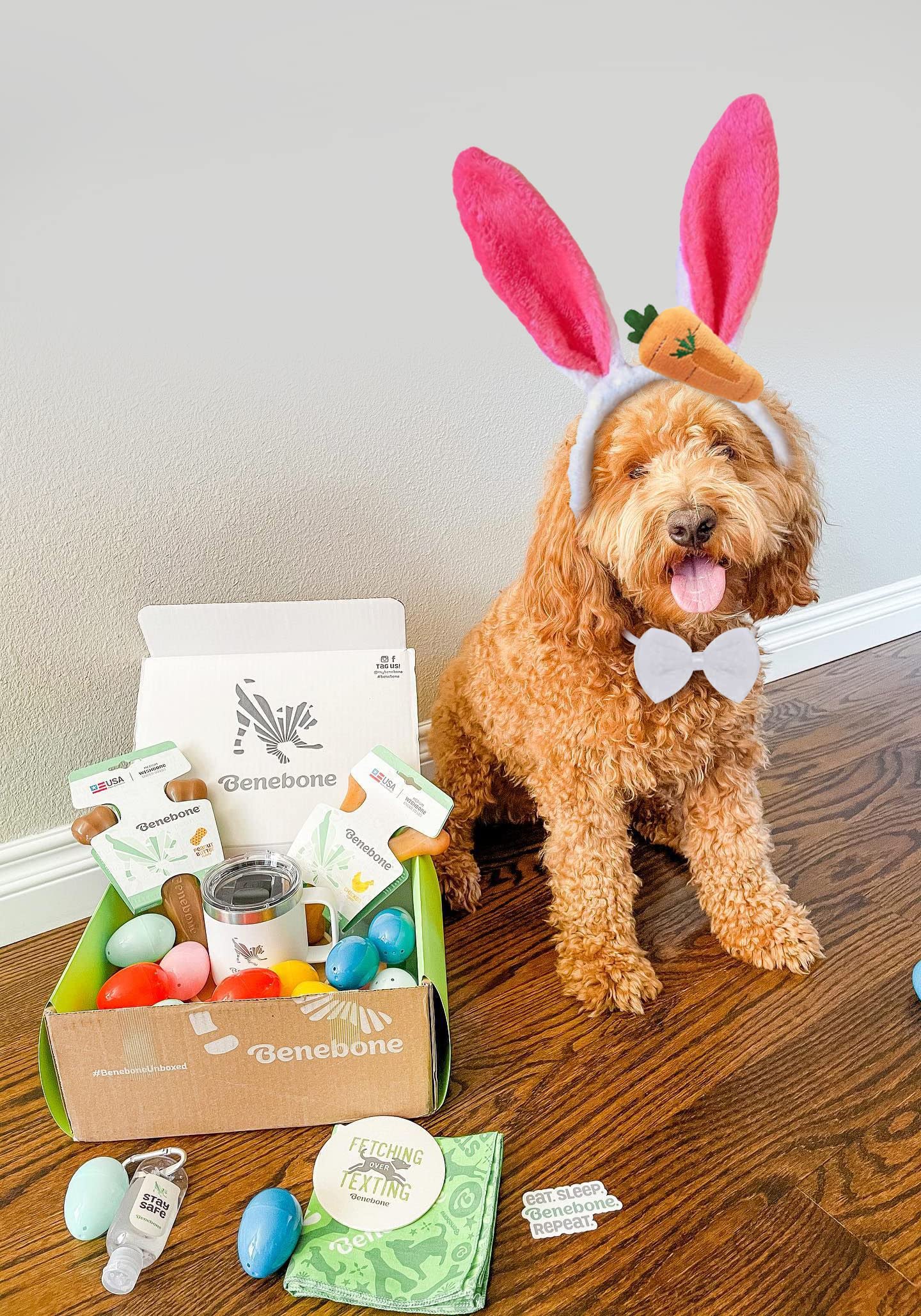 Easter Dog Bunny Ears & Bow Tie Set - Cute Pet Costume for Easter Photos, Parties & Holiday Celebrations