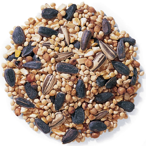 Duncraft Traditional Mix Wild Bird Seed - 5 lb Bag for Attracting Wild Birds to Your Backyard Garden