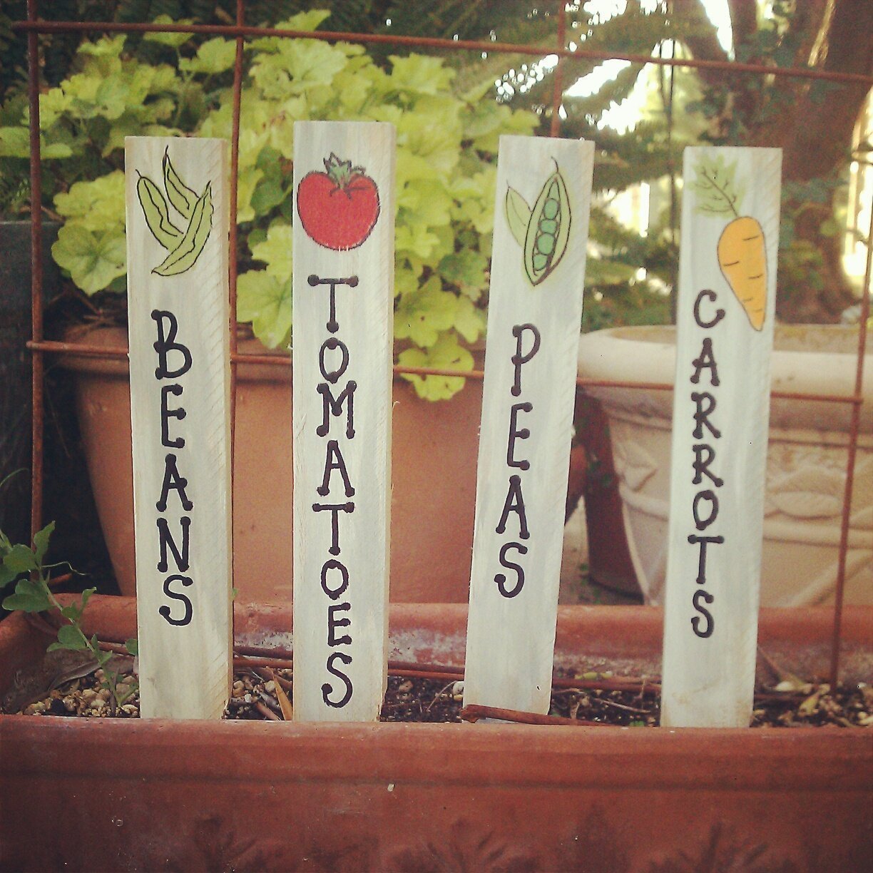 Garden Markers & Plant Stakes - Durable Vegetable & Herb Markers for Gardening - Decorative Outdoor Plant Labels for Raised Beds, Pots & Greenhouses