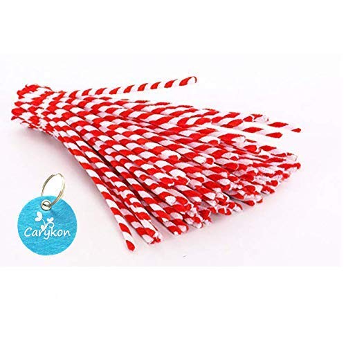 Carykon 100-Pack Red Striped Chenille Pipe Cleaners for DIY Crafts, Floral Arrangements, and STEM Projects | Soft, Bendable, and Colorful Art Supplies for Kids and Adults