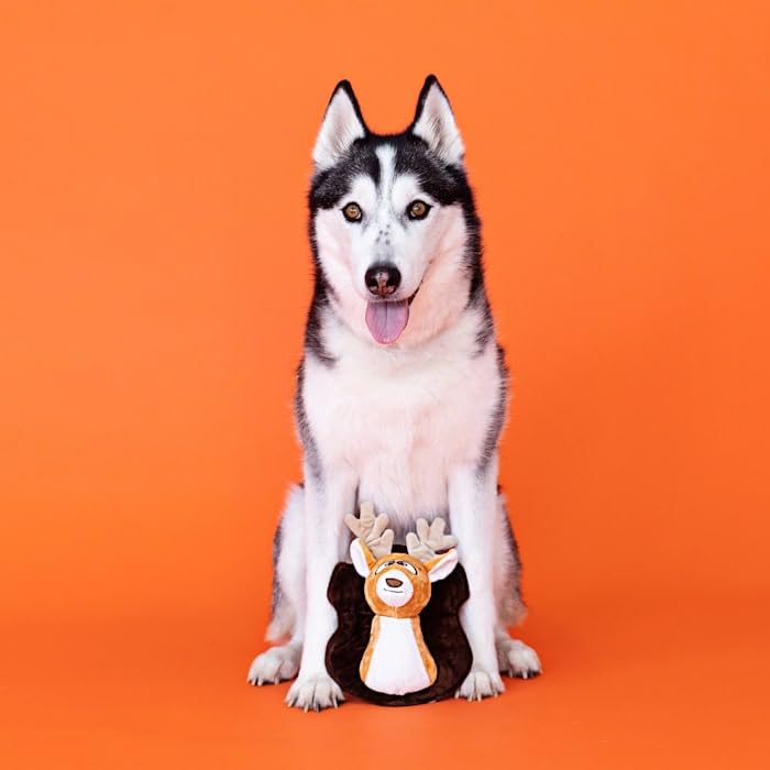Fringe Studio OH Deer Plush Dog Toy - Wagsdale Dog Toy Collection (289759) | Soft & Durable Chew Toy for Small & Medium Dogs | Perfect for Playtime, Training & Cuddling