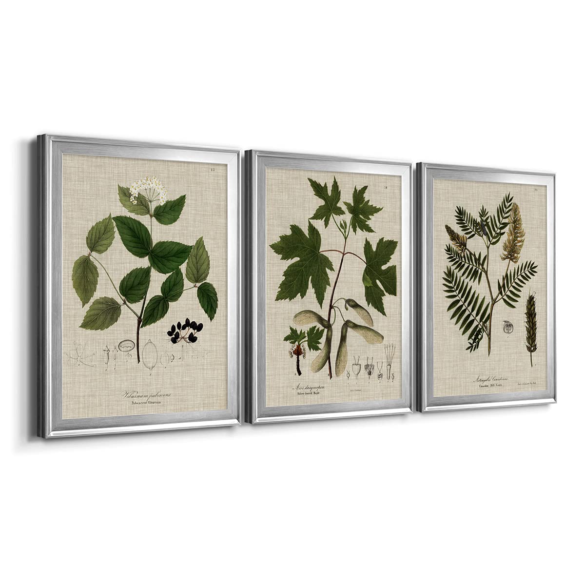 Abstract Geometric Wall Art Set - 3 Piece Silver Framed Canvas Prints (18x24 in) - Scandinavian & Latin Inspired Bathroom Decor - Modern Gallery Wall for Living Room, Bedroom & Office