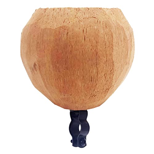 Blank Coconut