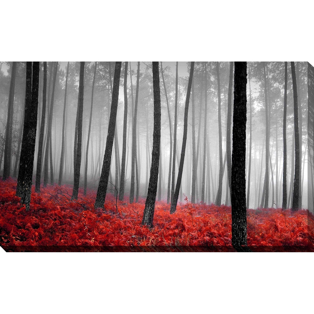 Autumn Woods Landscape Canvas Print by PhotoINC Studio - Nature Wall Art for Living Room, Bedroom & Office Decor