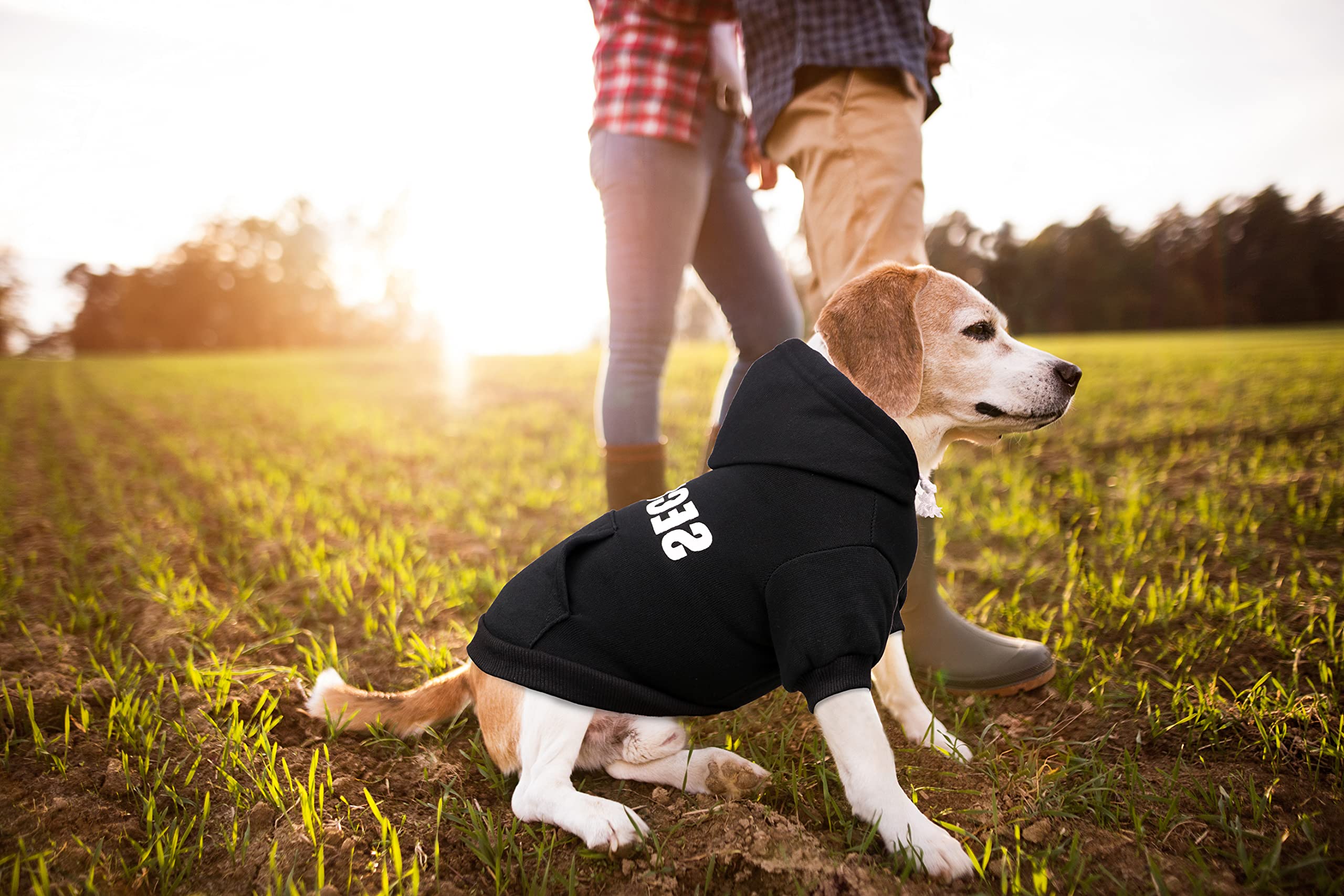 Soft Brushed Fleece Dog Hoodie Sweater with Pocket - Warm & Cozy Dog Clothes for Medium Dogs (M), Black | Perfect for Winter Walks & Outdoor Adventures