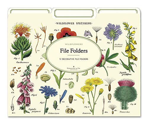 Colorful Wildflowers File Folders - 10 Pack Letter Size Hanging File Folders for Office Organization, Home Filing & School Supplies (Floral Design) - Perfect for Document Storage, Classroom Decor & Gift Wrapping Accessories
