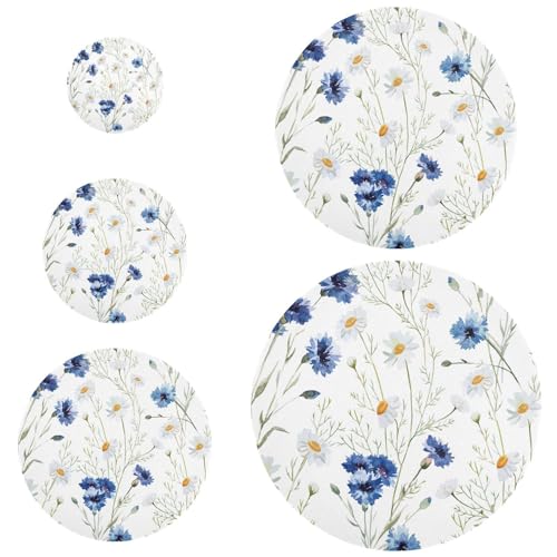 Blue White Daisies14