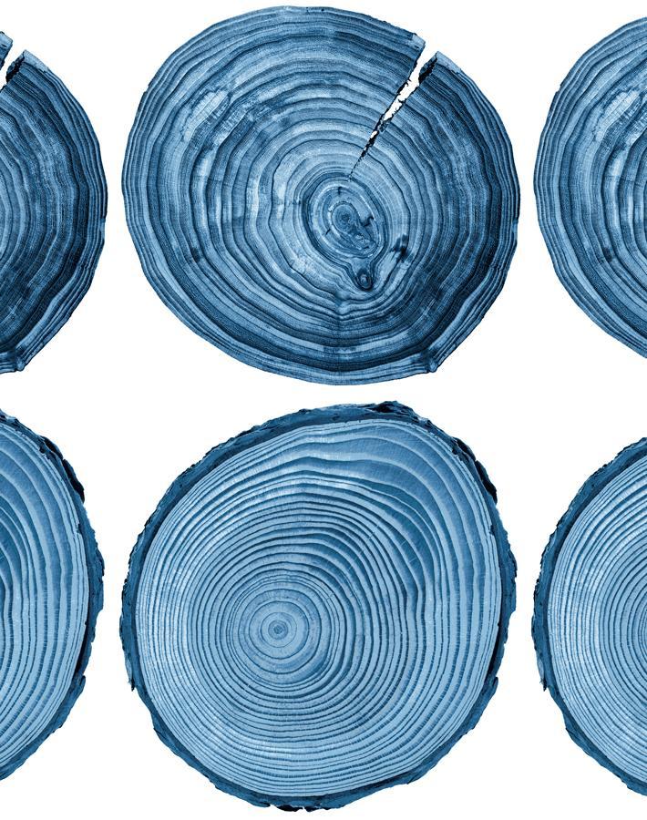 Nathan Turner Blue 'Deux Bois' Wallpaper - Premium Peel & Stick Removable Wallpaper for Bedroom, Living Room & Nursery Decor
