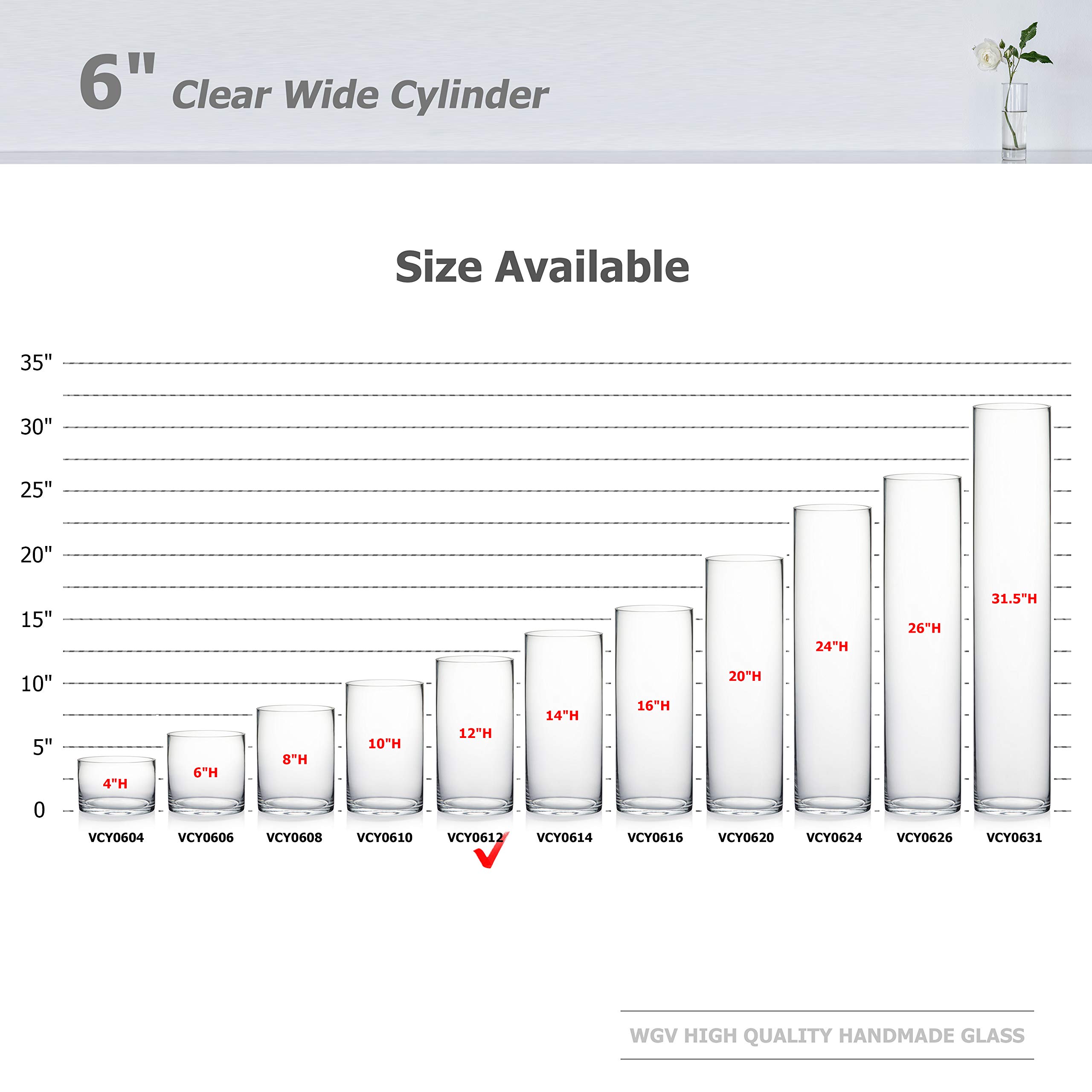 WGV Clear Glass Cylinder Vase Bulk Set - 6