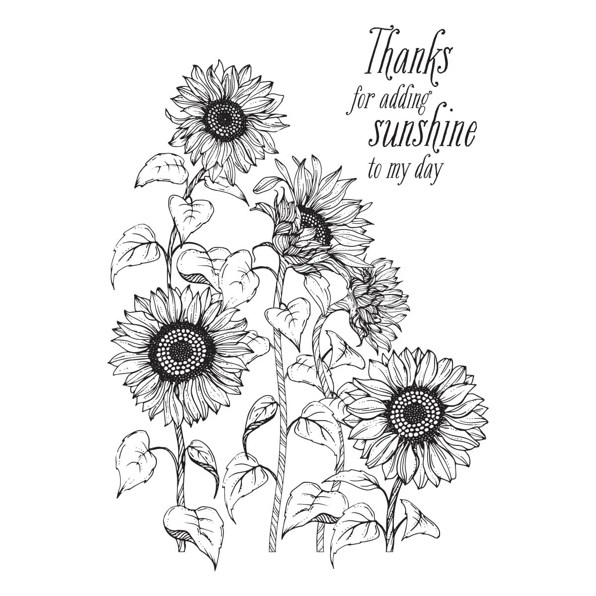 Spellbinders Sunflower Field BetterPress Metal Press Plate for Card Making & Scrapbooking | DIY Greeting Cards, Invitations & Paper Crafts