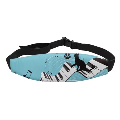 Piano Music Cat