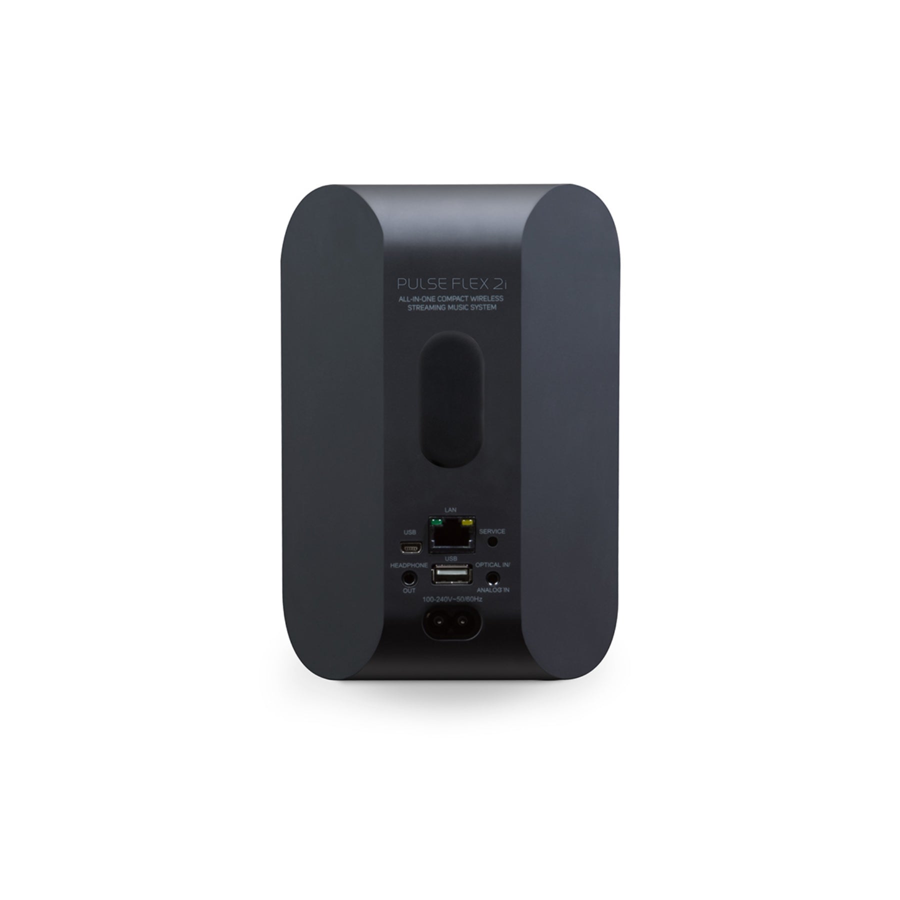 Bluesound PULSE FLEX 2i Portable Bluetooth Speaker - High-Quality Wireless Sound for Outdoor, Travel & Home Use