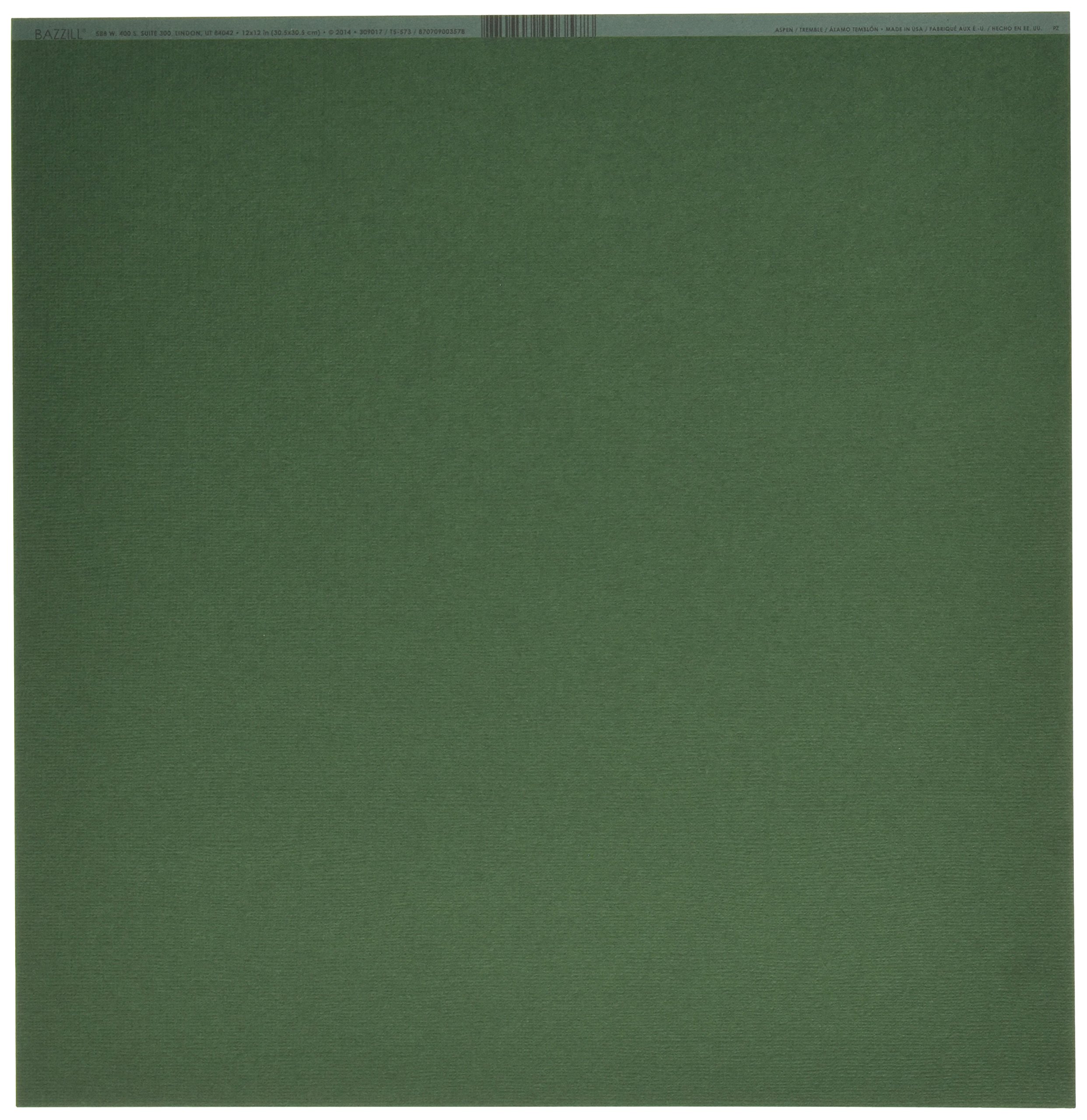 Bazzill Cardstock 12x12 Inches - Aspen/Canvas 25 Sheets per Pack for Scrapbooking, Card Making & DIY Crafts