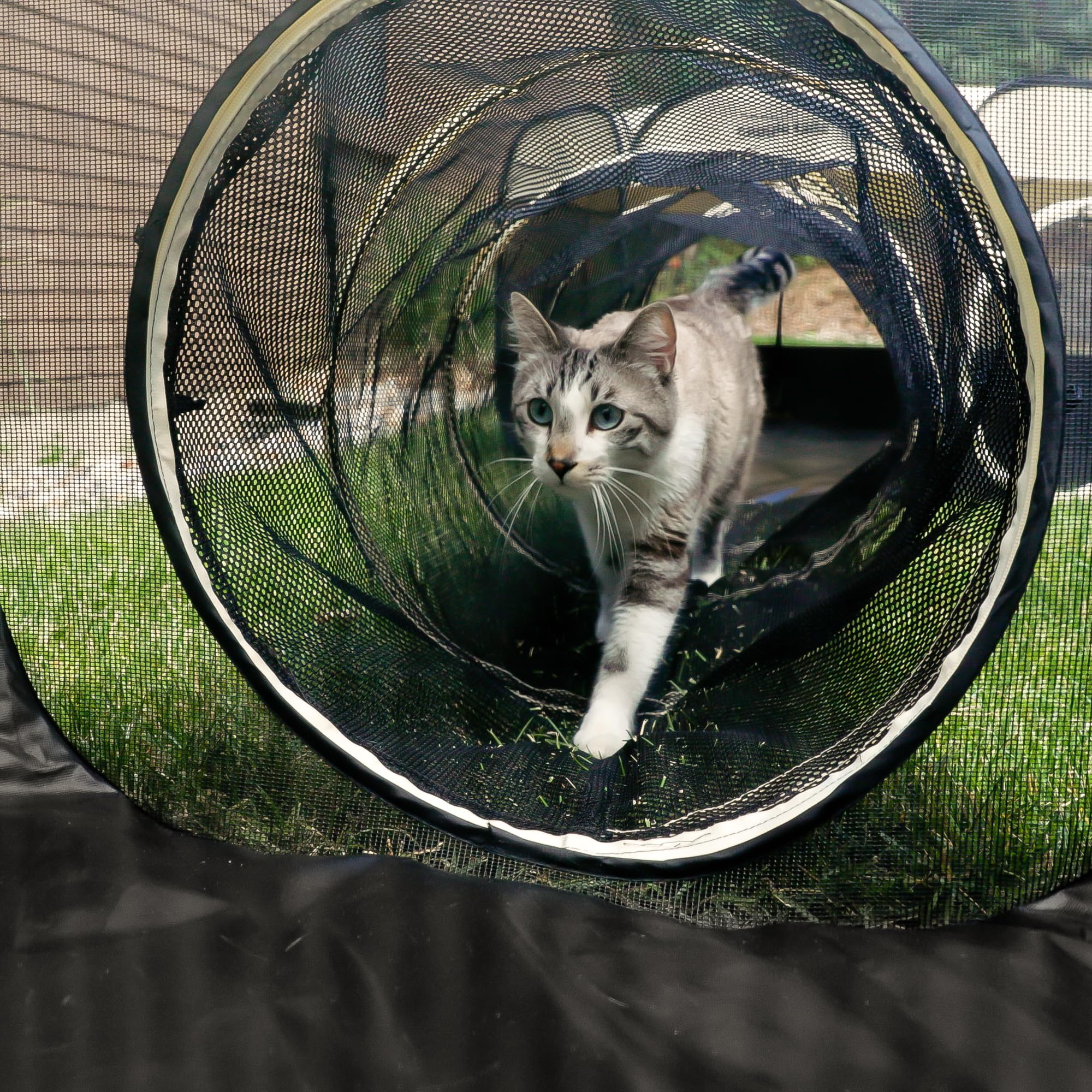 **Large Indoor-Outdoor Cat Playpen Enclosure – Durable Cat Tents & Tunnels for Cats, Dogs, Kittens, Puppies, Ferrets & Small Pets – Portable Catio, Condo & Play Area – Perfect for Home, Backyard & Travel**