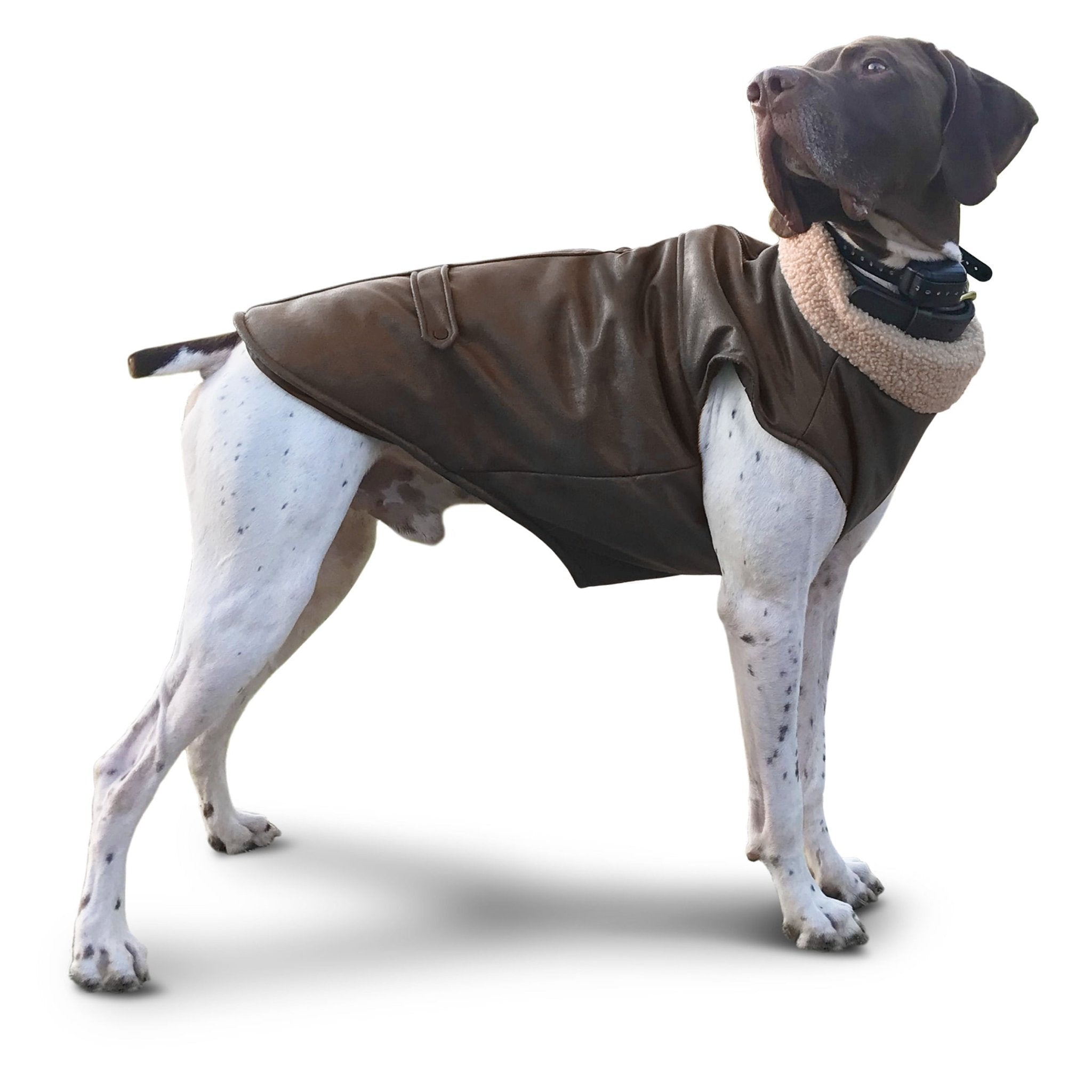 Stylish Bomber Dog Jacket for Small & Medium Dogs - Fashion Pet Coats for Winter & Outdoor Adventures
