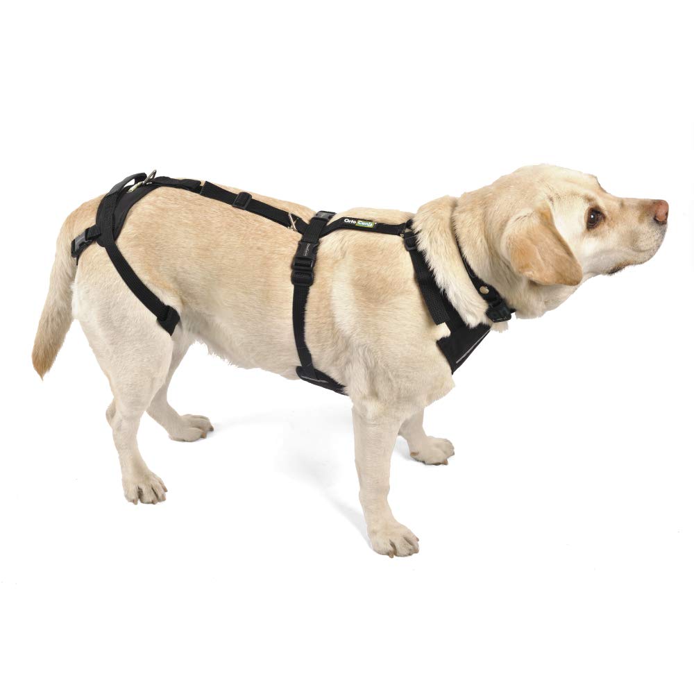 Ortocanis Full-Body Dog Harness for Fore and Hind Leg Support - Adjustable Pet Mobility Aid Vest for Small Dogs (Size S) - Ideal for Senior Dogs, Post-Surgery Recovery & Daily Walking Assistance