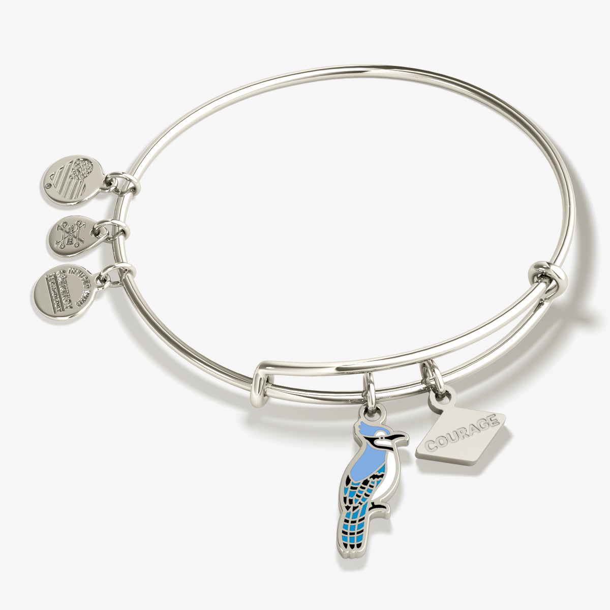 Blue Jay Duo Charm Bangle Bracelet - Courage Jewelry for Women - Perfect for Everyday Wear & Special Occasions