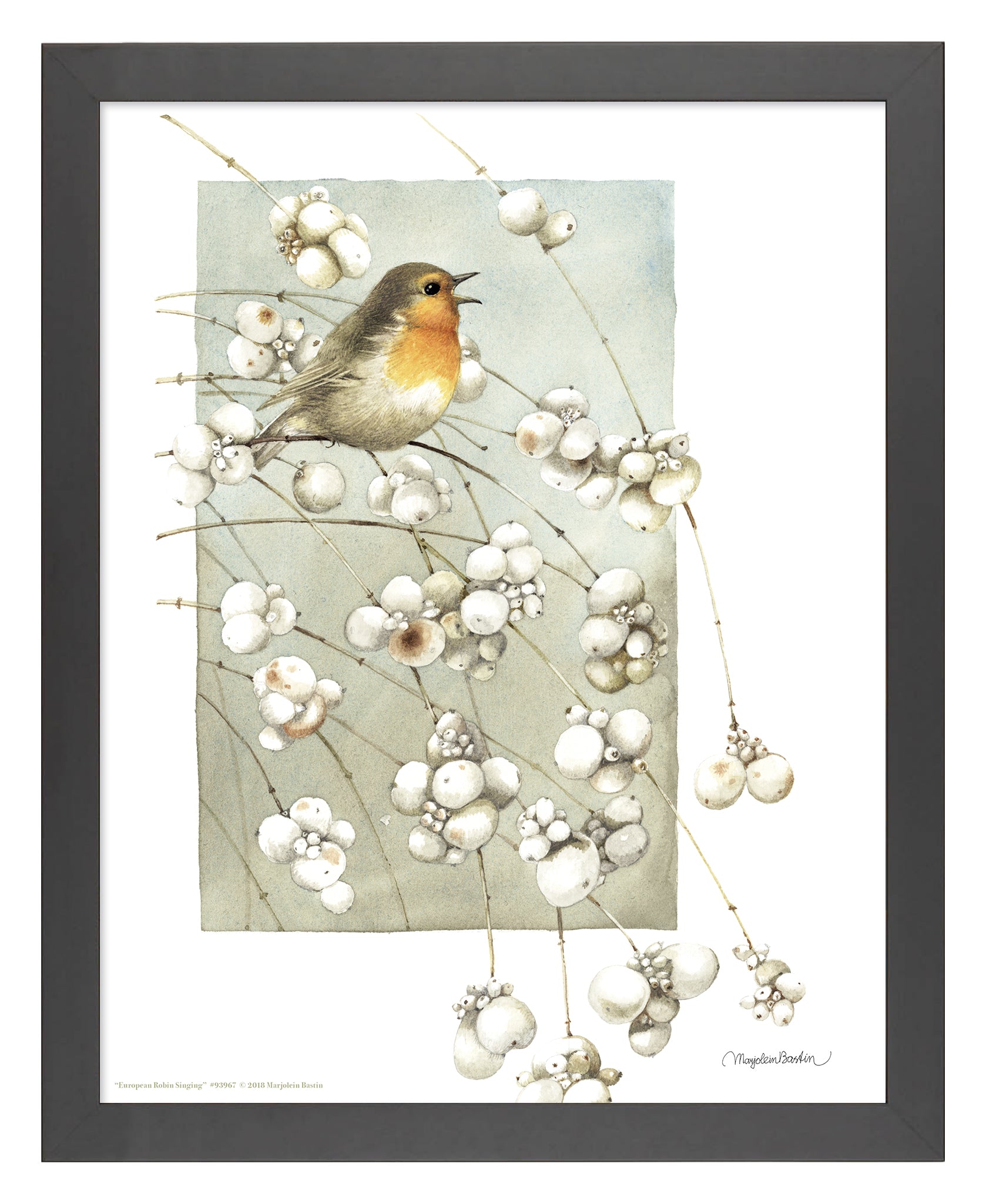 European Robin Singing Art Prints - Stunning Bird Wall Decor for Living Room, Bedroom & Office - Perfect Gift for Nature Lovers