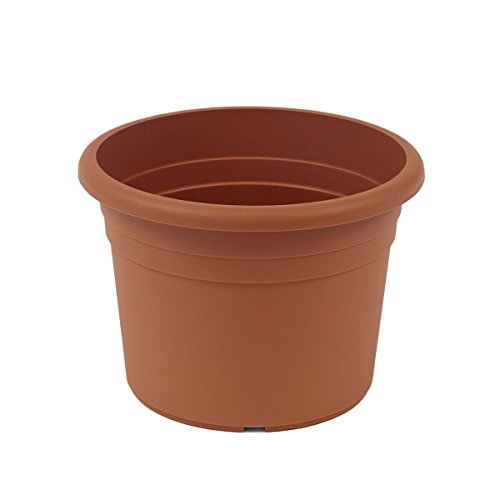 Terracotta