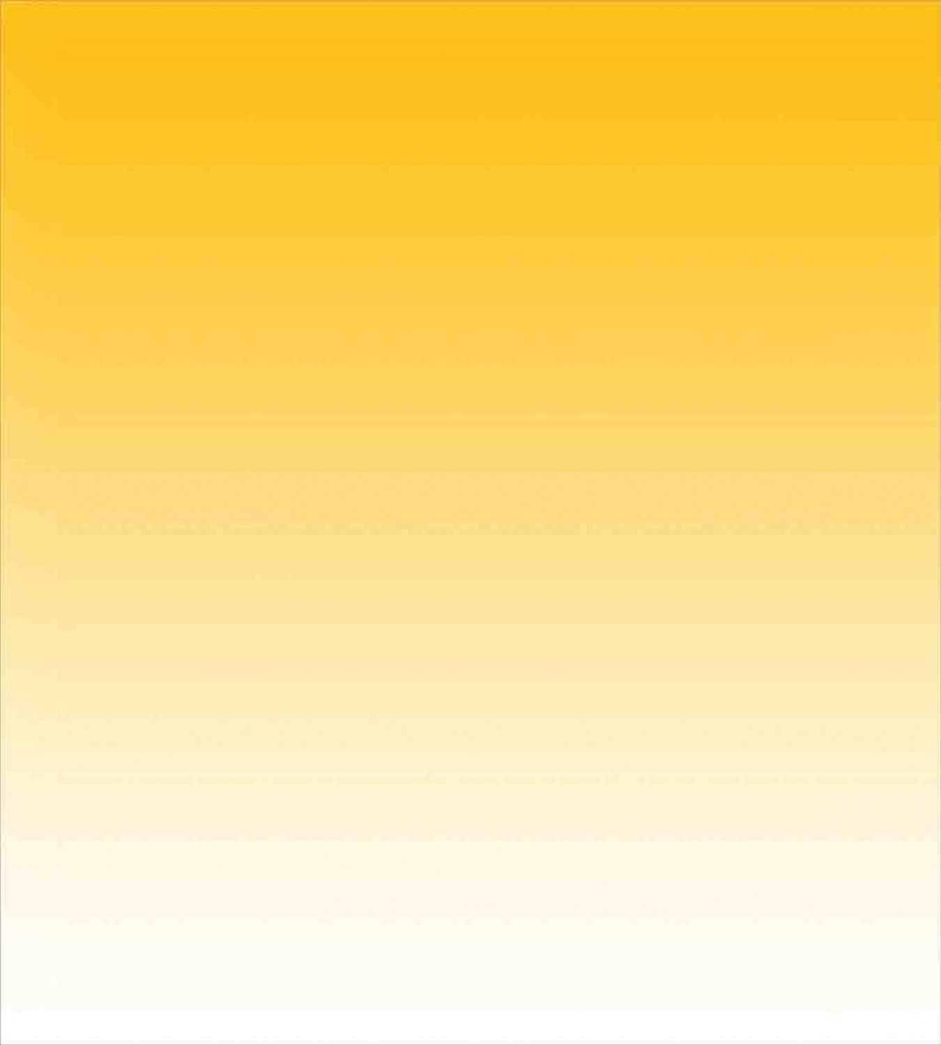 Ambesonne Ombre Duvet Cover Set - Modern Beach Themed Yellow Gradient Bedding (2 Duvet Covers + 2 Pillowcases) Twin Size 2-Pack - Perfect for Summer Bedroom Decor & Coastal Theme Guest Rooms