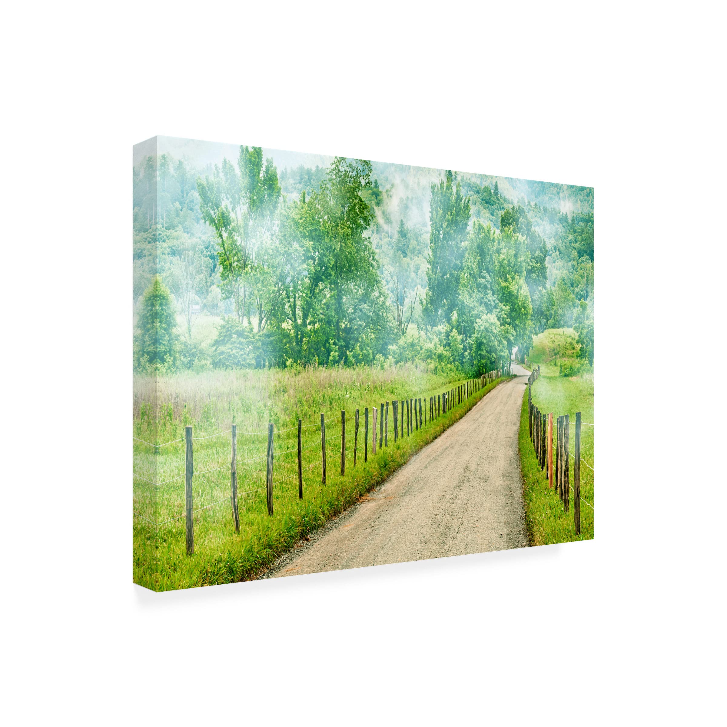 James McLoughlin 'Country Road Photo II' Canvas Wall Art Print - Landscape Nature Photography for Living Room, Bedroom & Office Decor