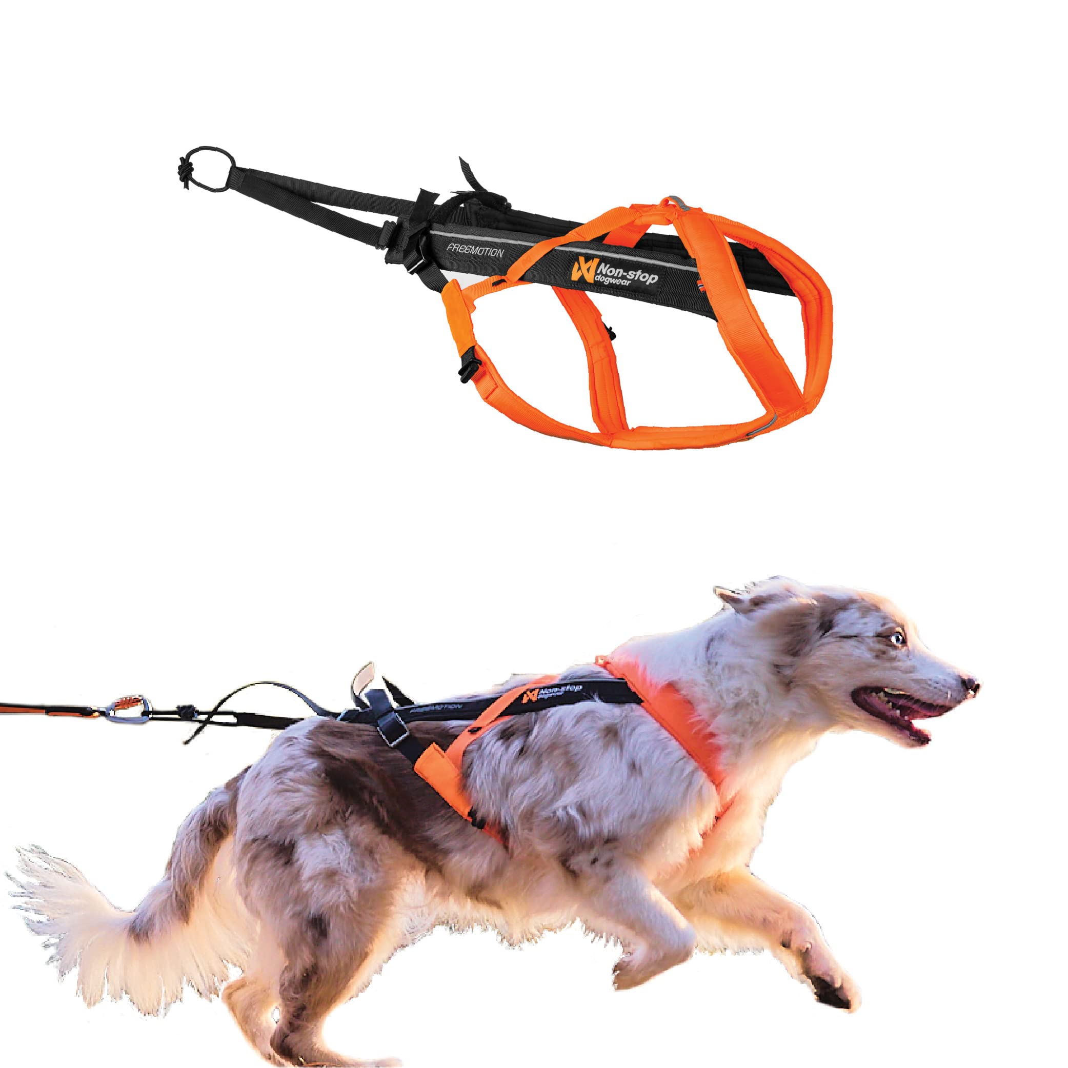 Non-Stop Dogwear Freemotion Harness 5.0 - Adjustable Dog Pulling Harness for Running, Biking & Skiing with Dogs - Professional Reflective Sports Harness for Active Dogs - Orange/Black, Size 6 - Perfect for Outdoor Adventures & Canine Fitness Training