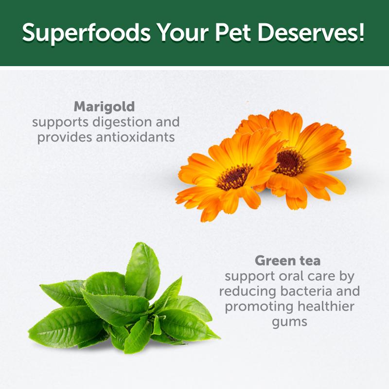 Premium Herring Dog Treats for Adult Dogs - Immune Health Support - Perfect for Training & Rewards