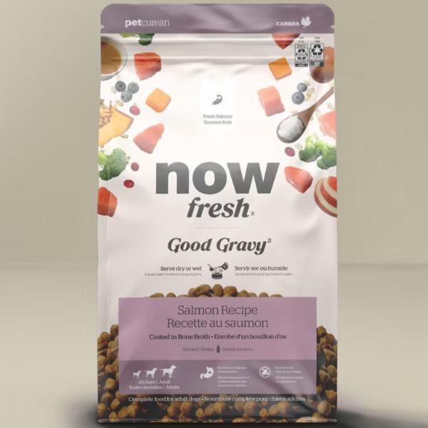 Now Fresh Grain-Free Salmon Recipe Adult Dry Dog Food - High Protein, Omega-3 Rich Kibble for Healthy Skin & Coat - Perfect for Active Dogs & Sensitive Stomachs