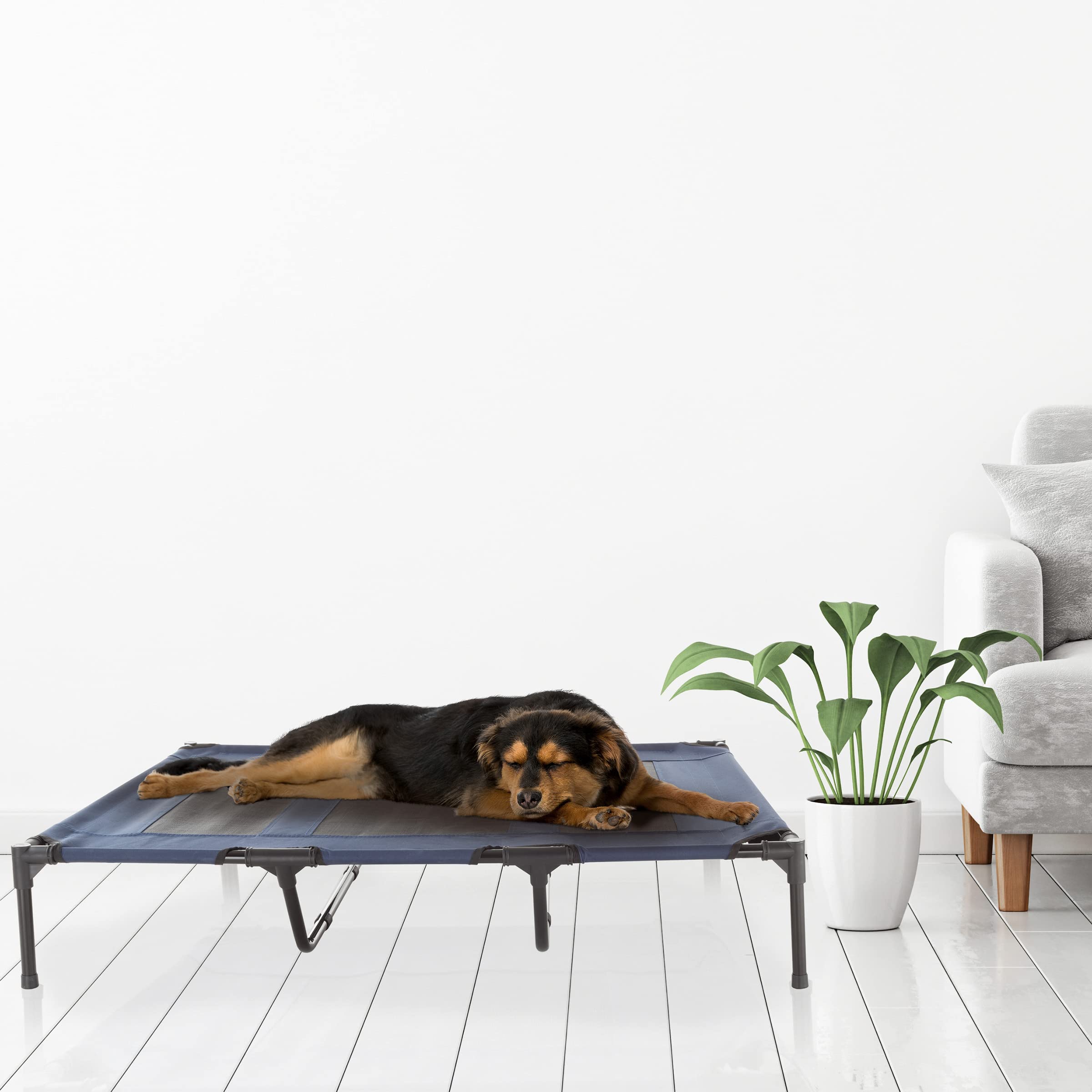 Premium Elevated Dog Bed - 48x35.5 Inch Portable Pet Cot with Non-Slip Feet - Indoor/Outdoor Cooling Bed for Large Dogs up to 110lbs - Durable & Breathable Design for Home, Patio, Camping & Travel - PETMAKER (Blue)