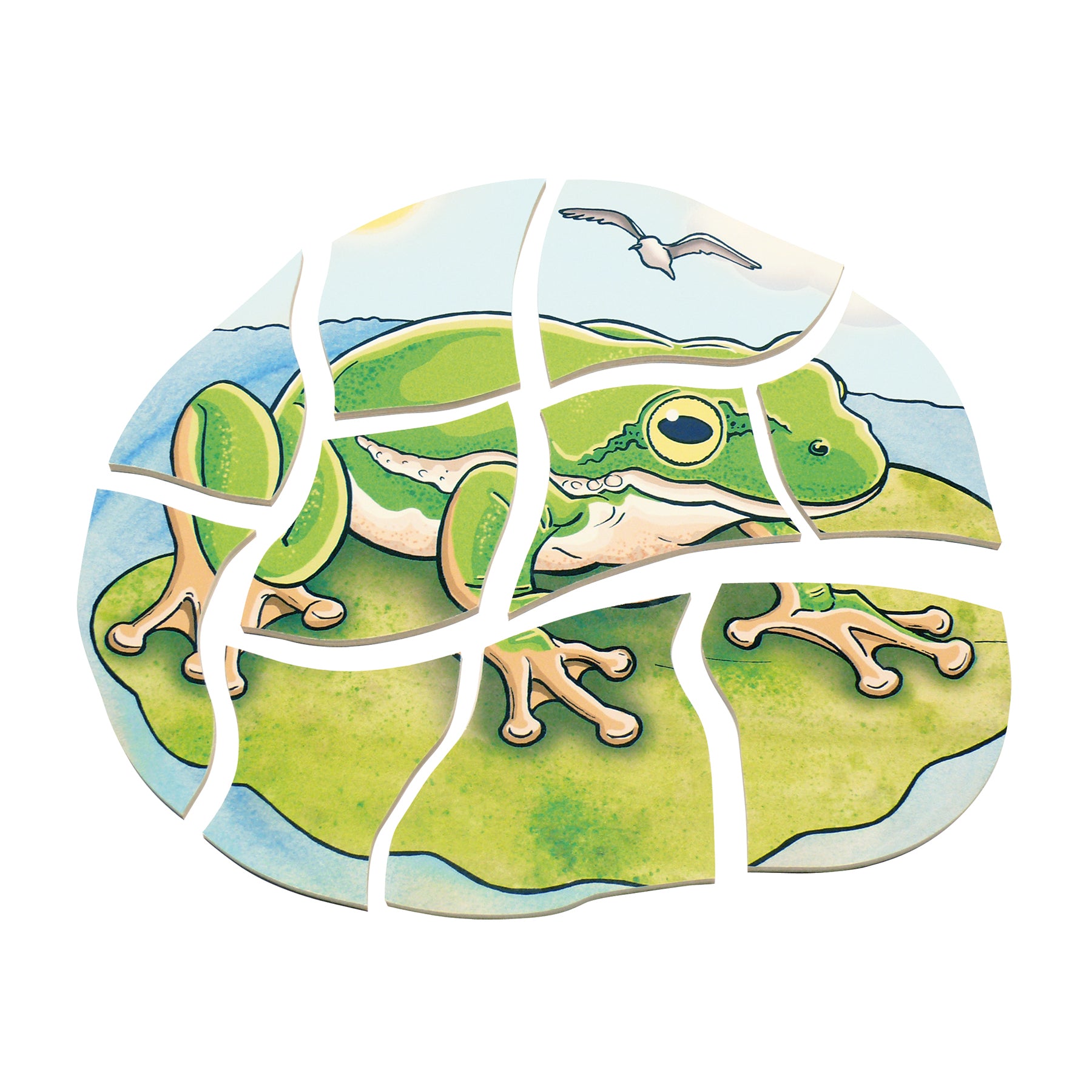 Beleduc Wooden Layer Puzzle - Frog Life Cycle with 5 Layers & 28 Pieces - Educational STEM Toy for Kids Learning Animal Development - Perfect for Classroom, Homeschool & Montessori Activities