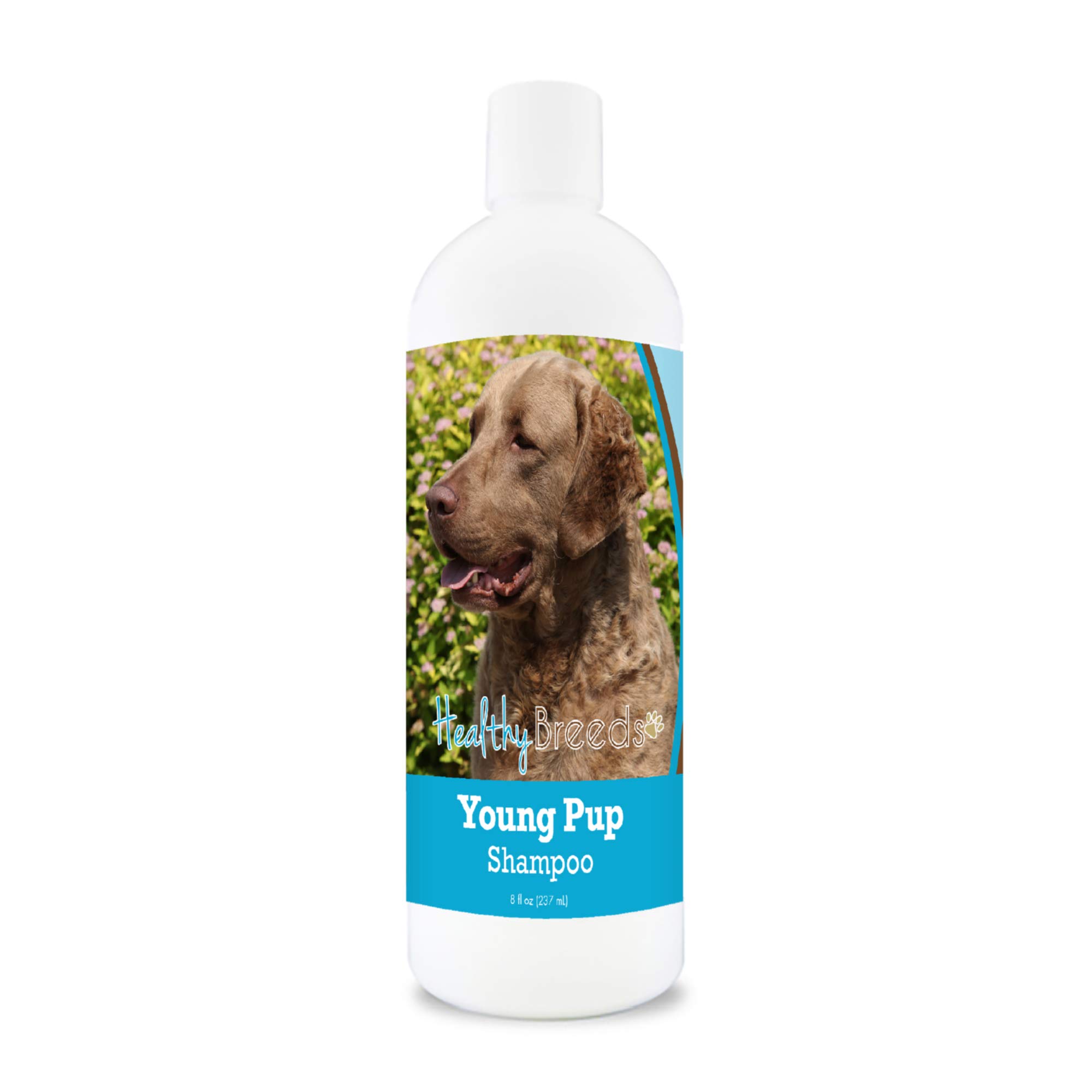 Healthy Breeds Chesapeake Bay Retriever Puppy Shampoo - Gentle 8oz Dog Shampoo for Sensitive Skin & Coat Care - Perfect for Bath Time & Grooming Sessions