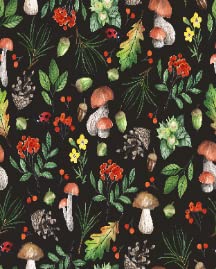 Dark Wild Forest Mushrooms