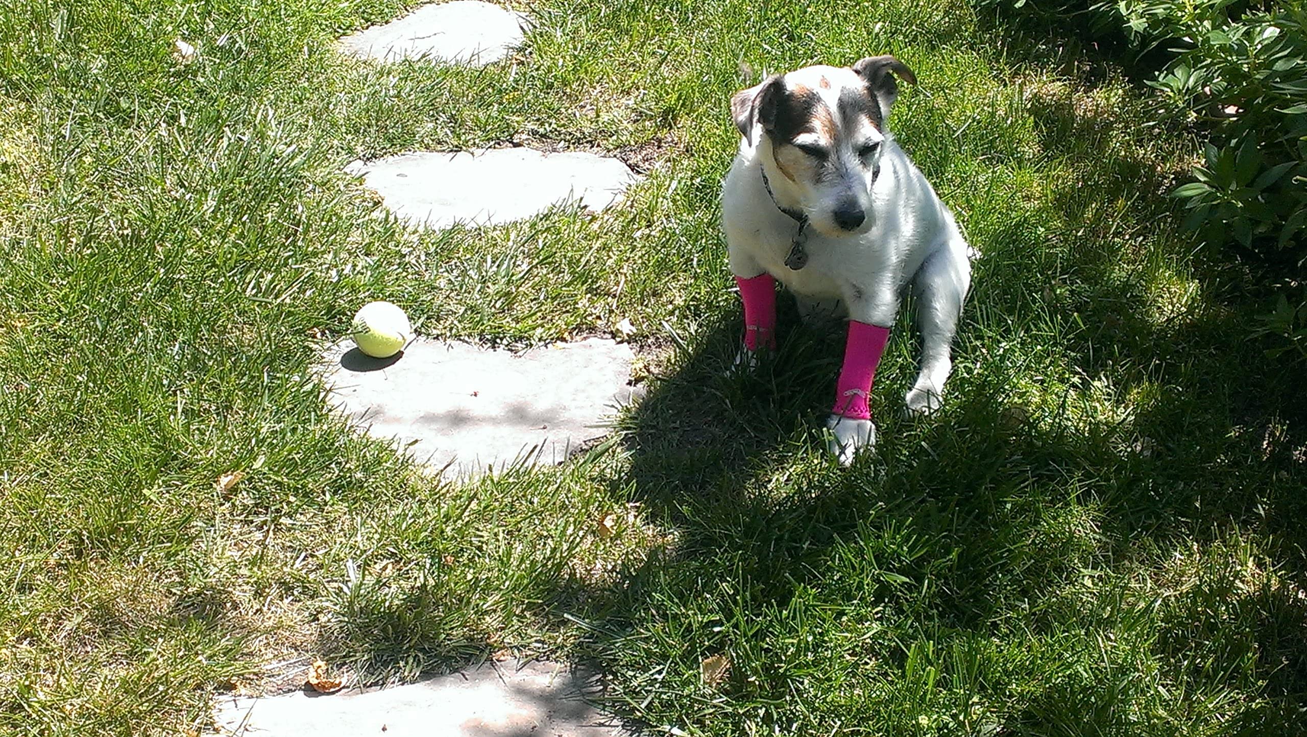 Dog Leg Compression Sleeve for Large Dogs - Pink Support Wrap for Joint Pain Relief & Injury Recovery - Perfect for Arthritis, Sprains & Post-Surgery Care