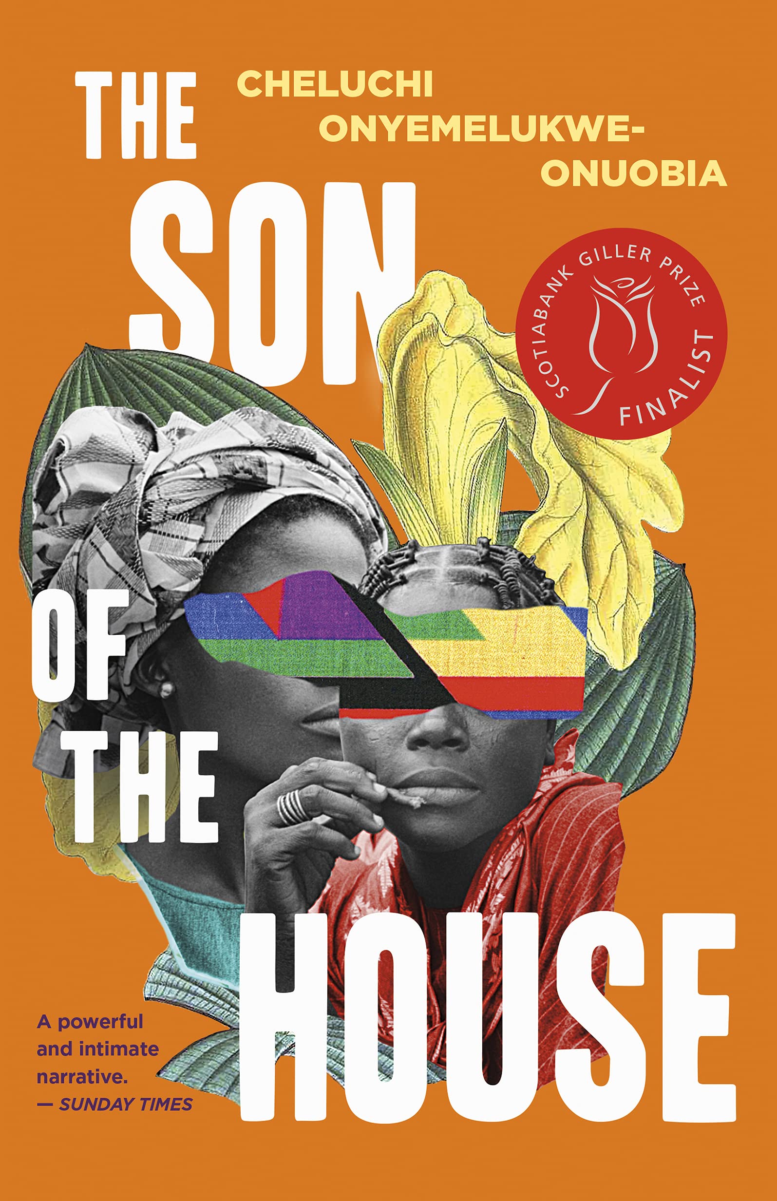 The Son of the House - Family Saga Novel | Historical Fiction Book for Adults | Perfect for Book Clubs & Literary Enthusiasts